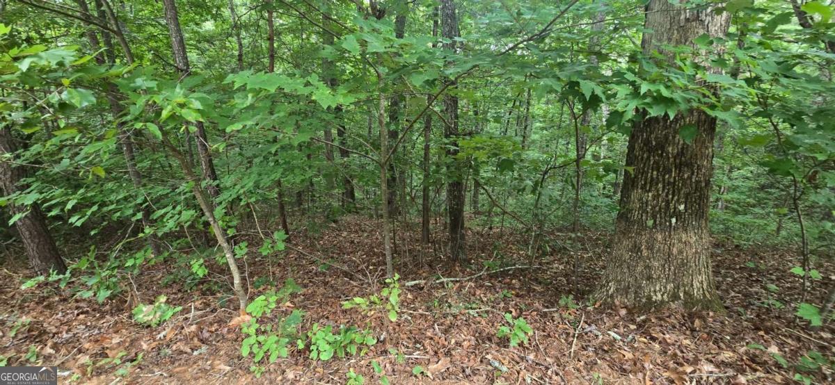 Lot 9 Harris Creek Drive Property Photo 3