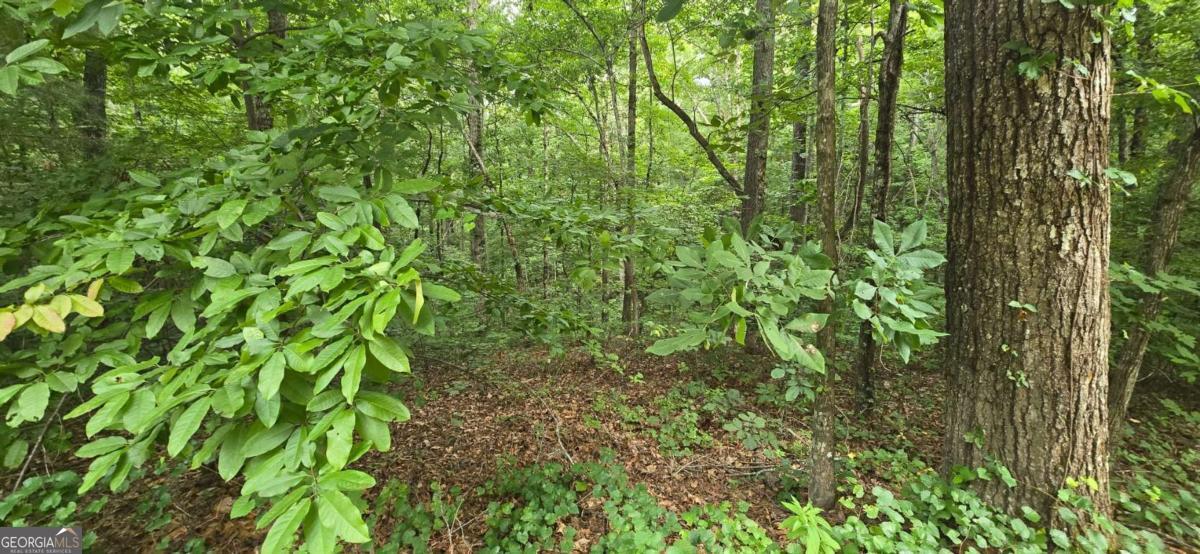 Lot 9 Harris Creek Drive Property Photo 4