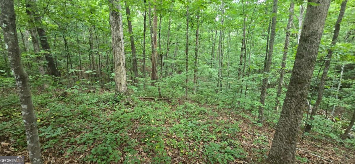 Lot 9 Harris Creek Drive Property Photo 5