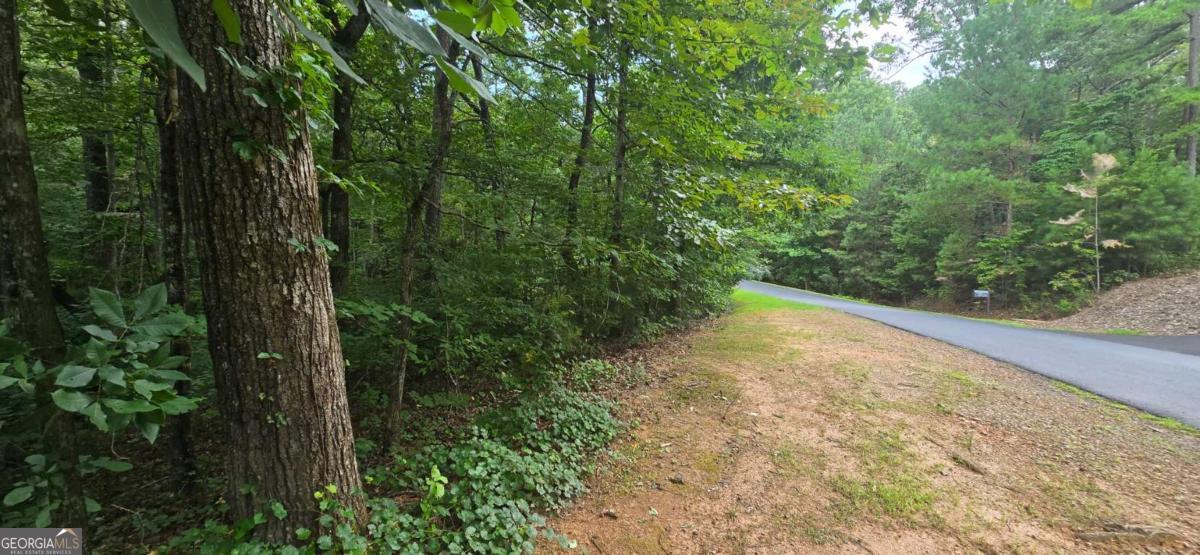 Lot 9 Harris Creek Drive Property Photo 6