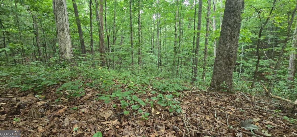 Lot 9 Harris Creek Drive Property Photo 7