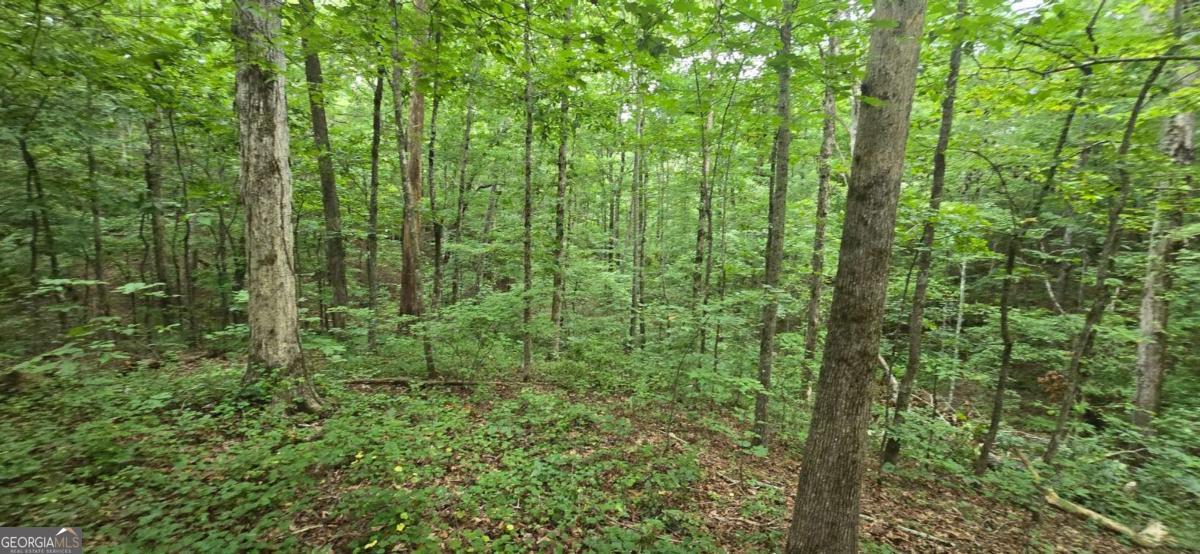 Lot 9 Harris Creek Drive Property Photo 8