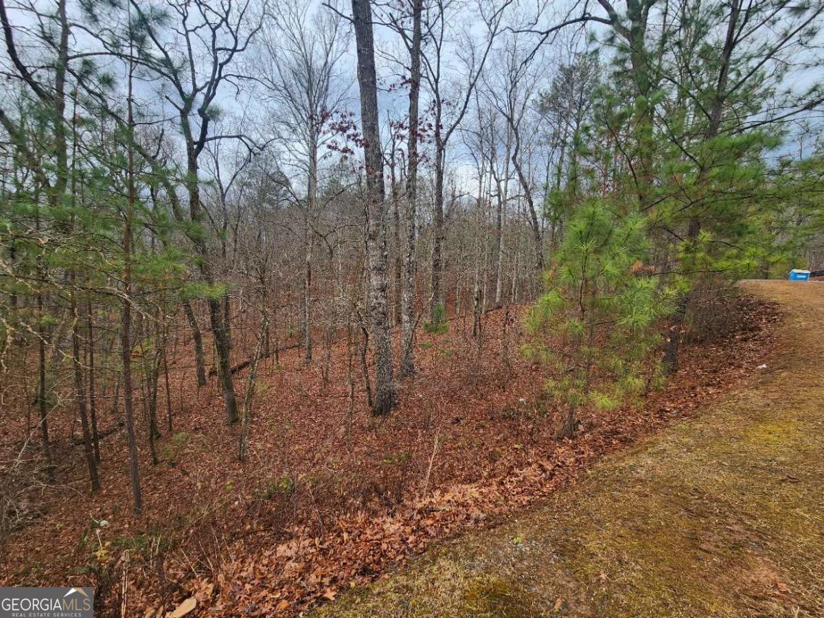 Lot 9 Harris Creek Drive Property Photo 10