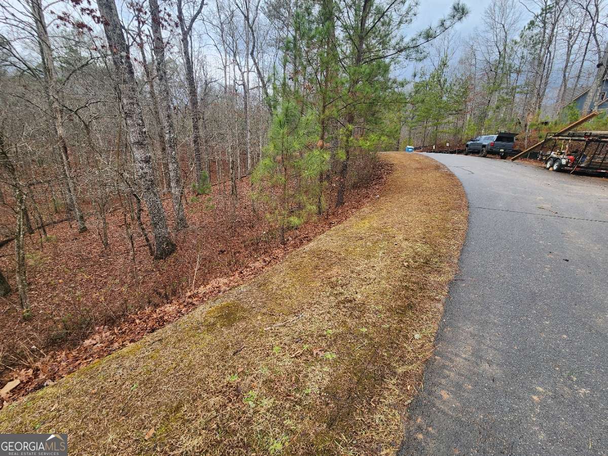 Lot 9 Harris Creek Drive Property Photo 11