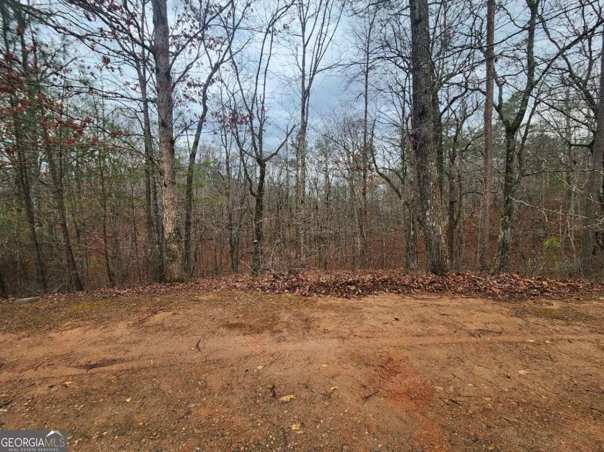 Lot 9 Harris Creek Drive Property Photo 12