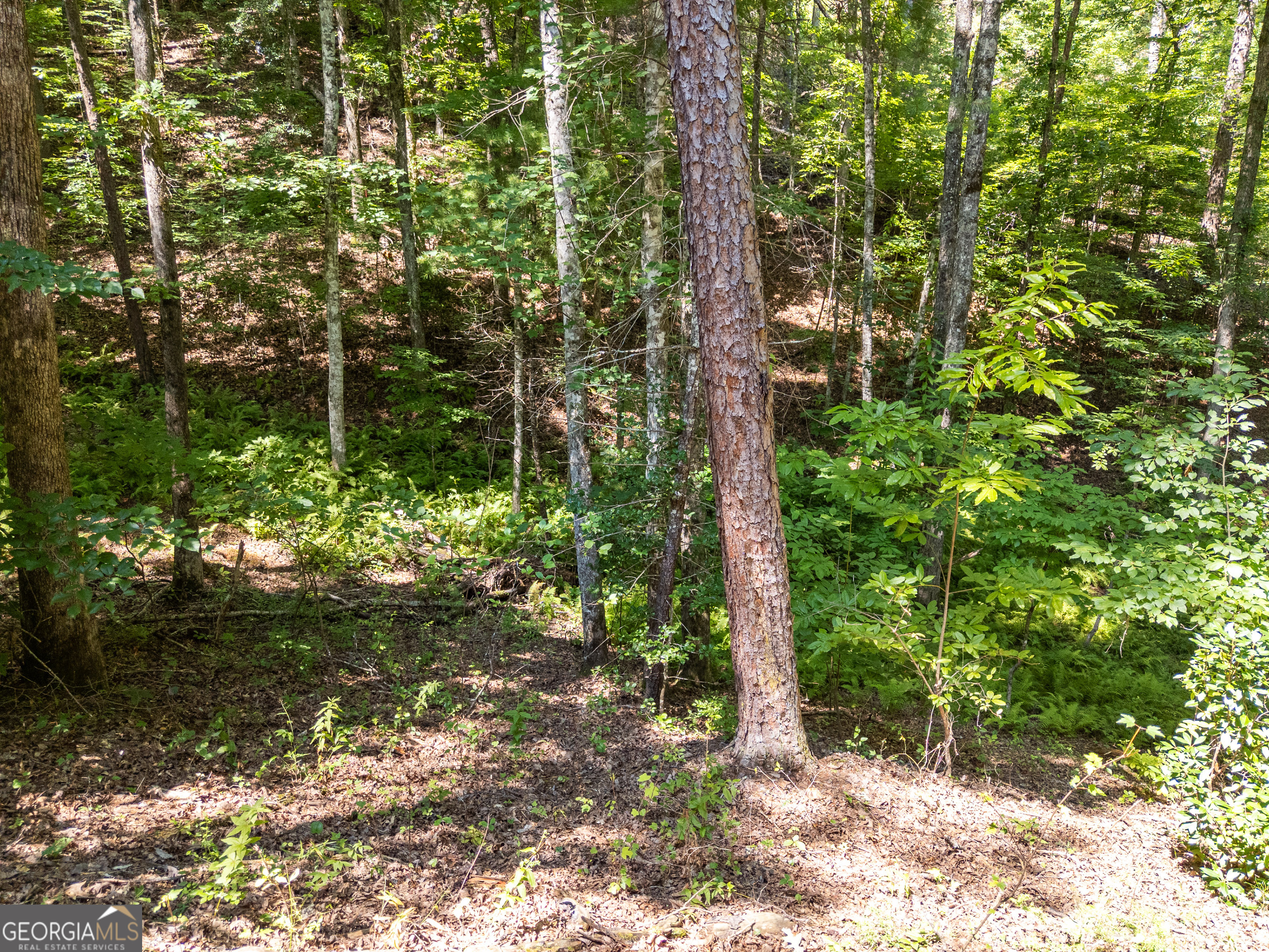 132 Lanes Way Property Photo 32