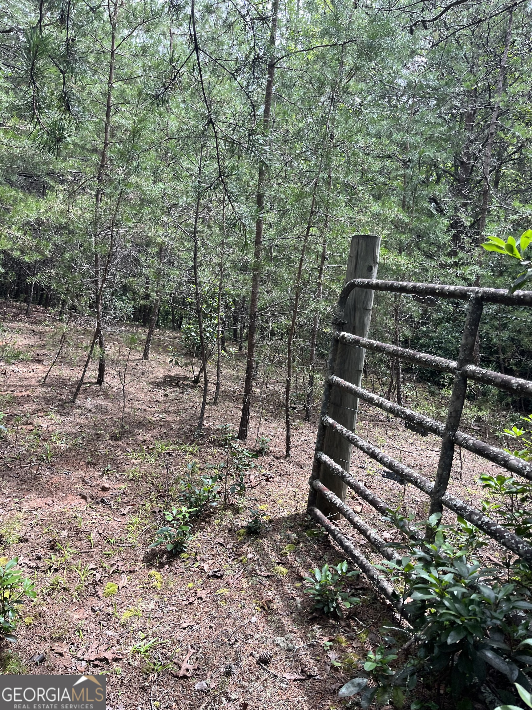 0 Windy Ridge Property Photo 1
