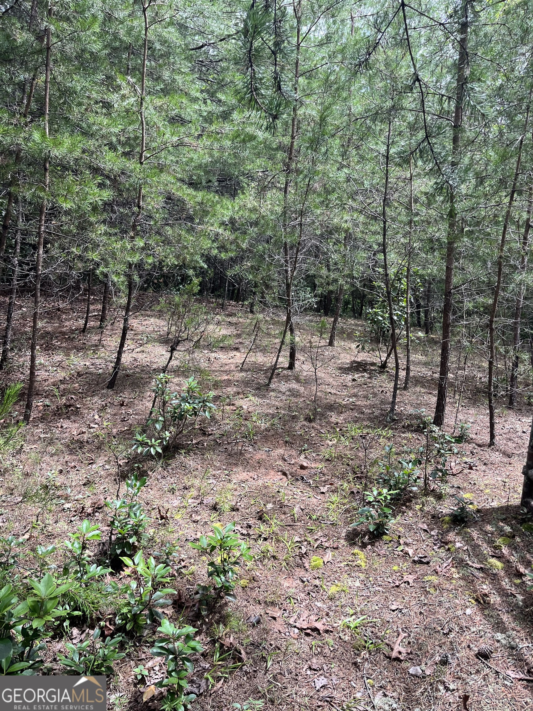 0 Windy Ridge Property Photo 2