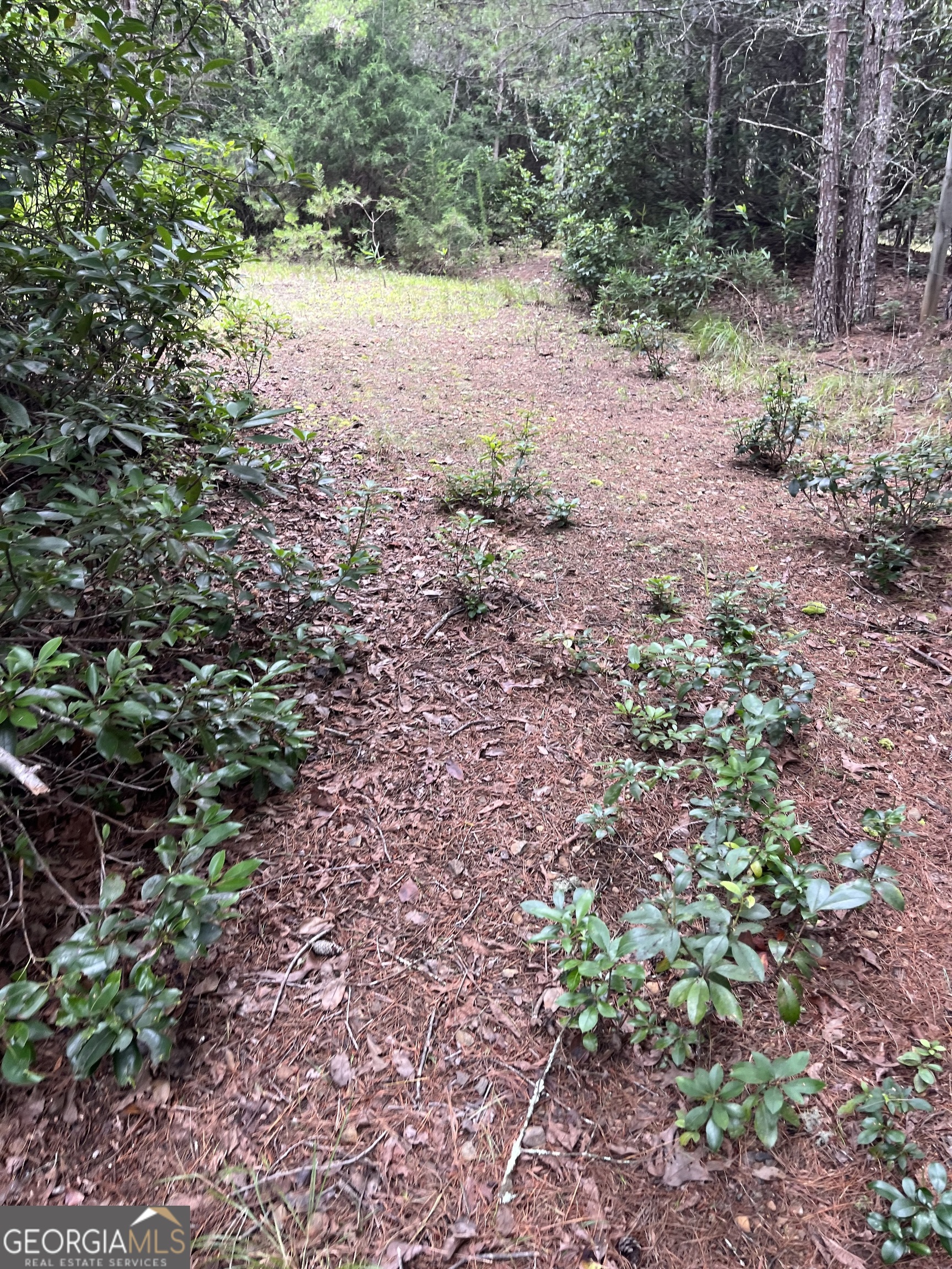 0 Windy Ridge Property Photo 3