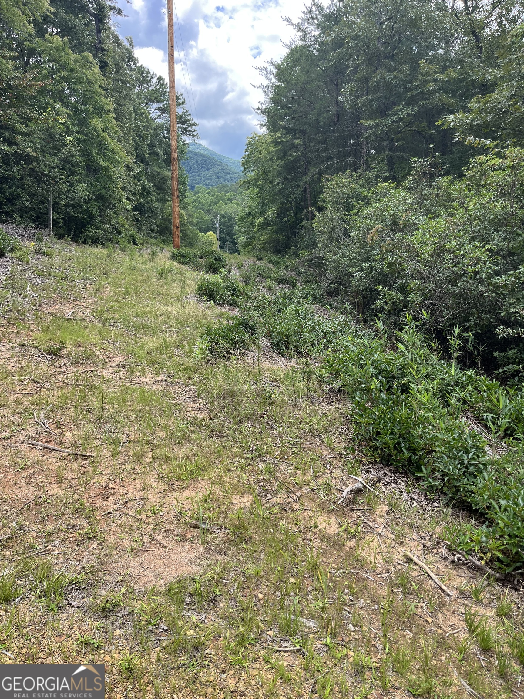 0 Windy Ridge Property Photo 4
