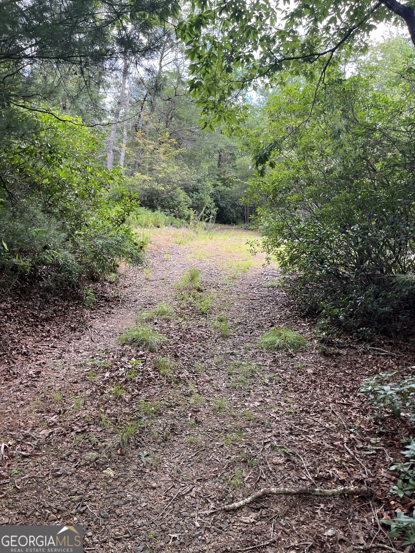 0 Windy Ridge Property Photo 5