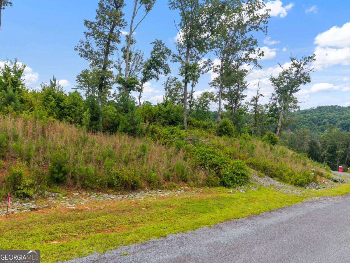Lot 84 Jakes Landing Way Property Photo 1