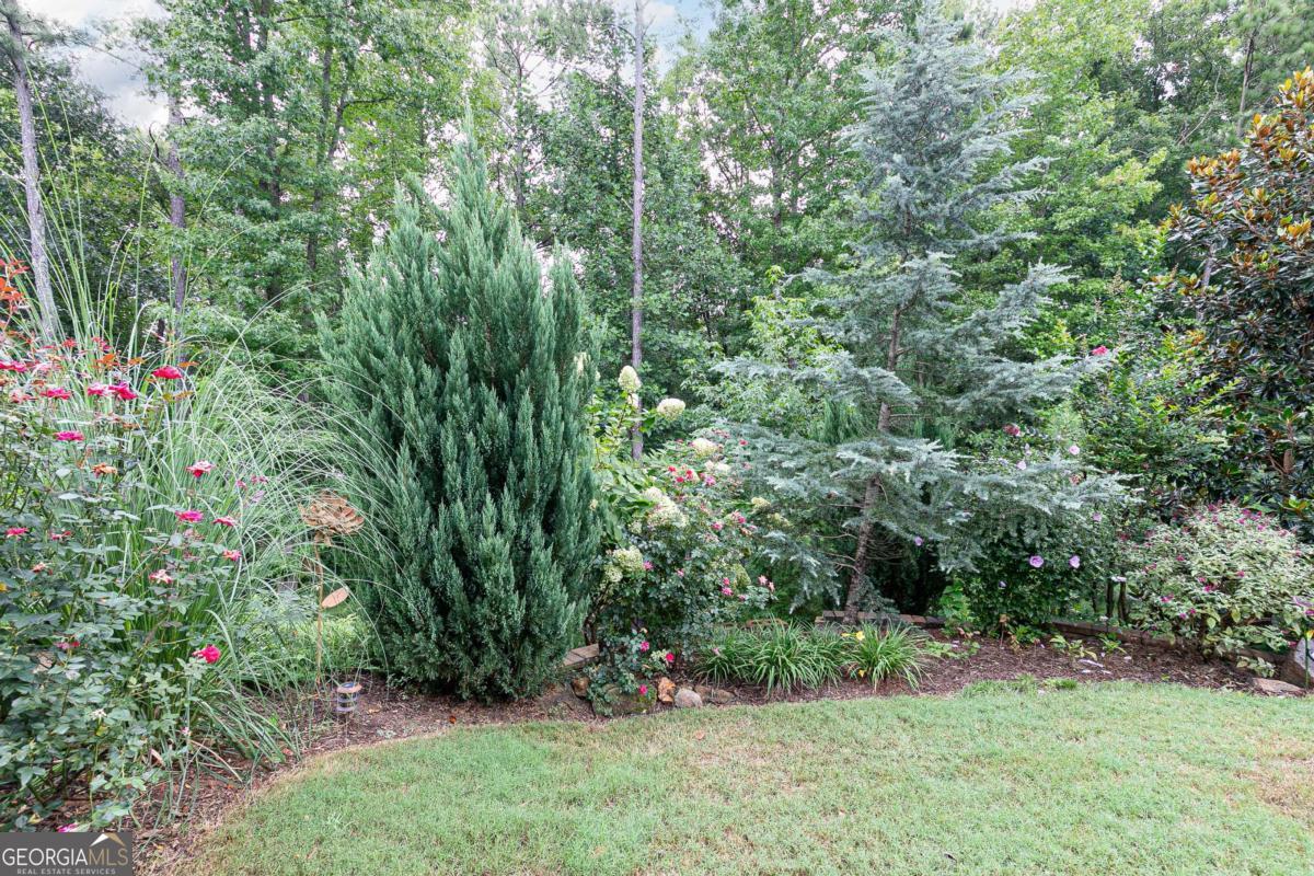 137 Unicoi Way Property Photo 45