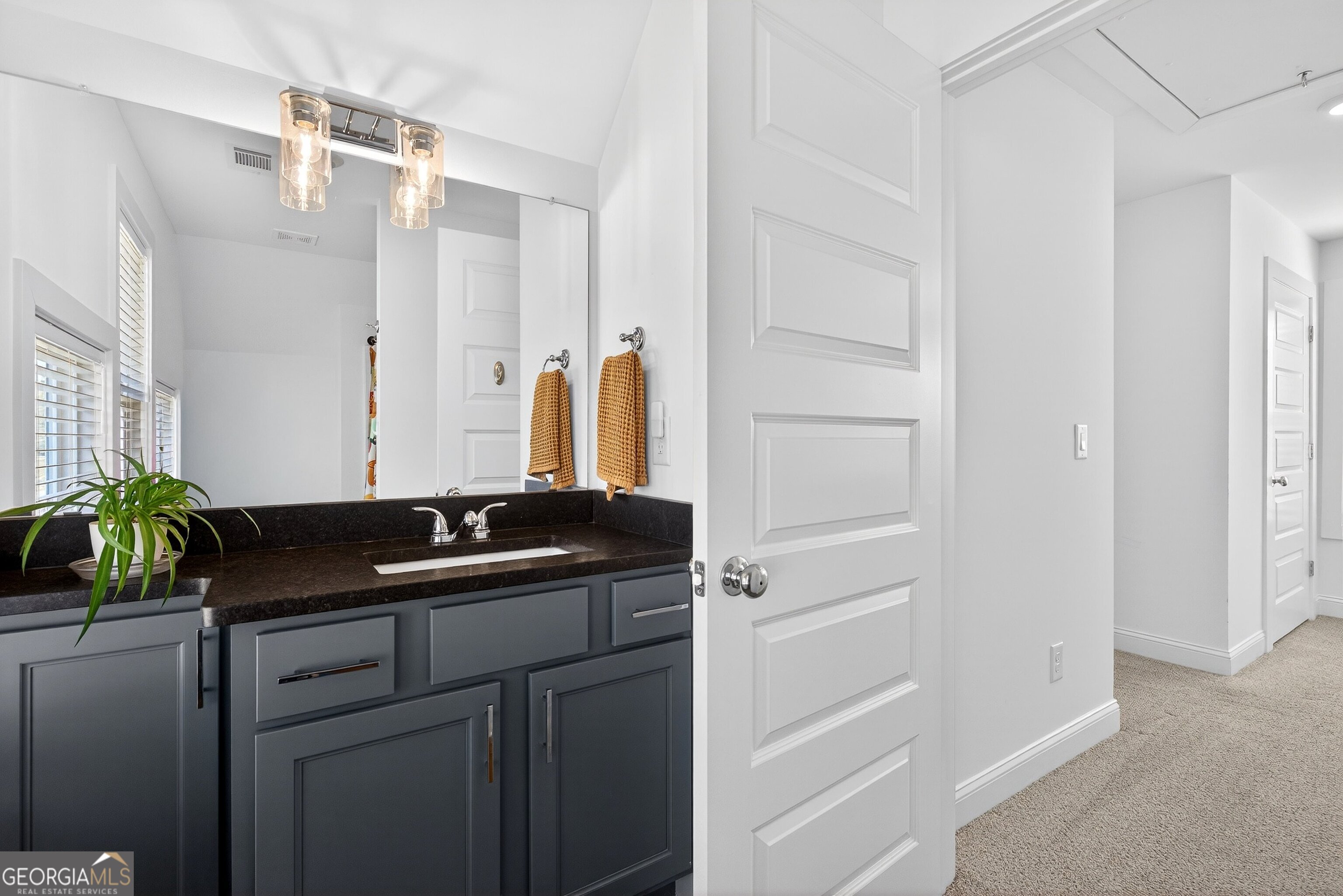 201 Marshall Avenue Property Photo 24