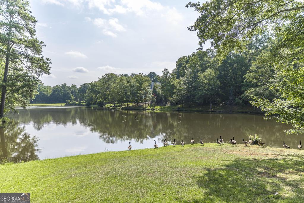 123 Saddle Run Court Property Photo 42