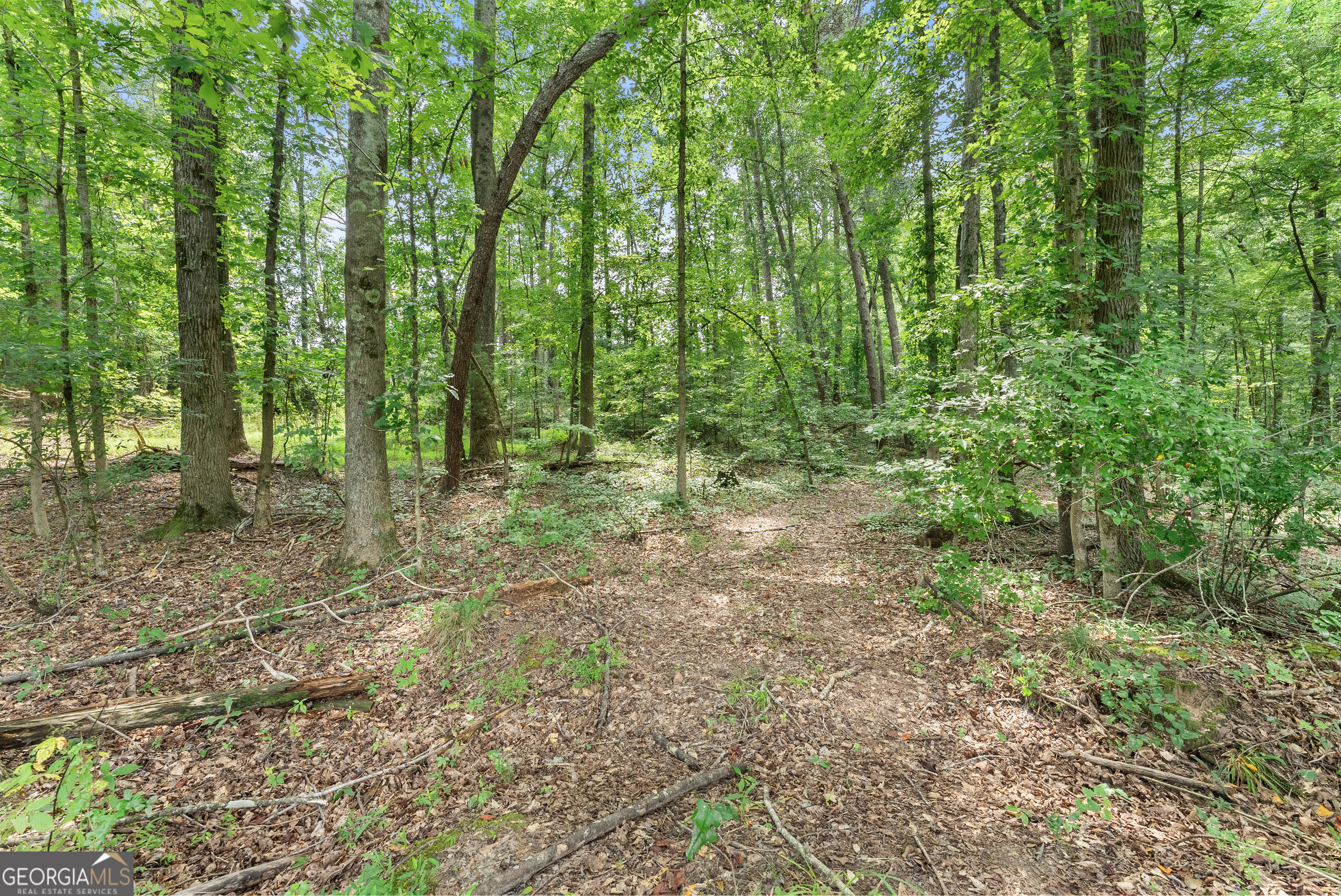 0 Jackson Trail Road Property Photo 7
