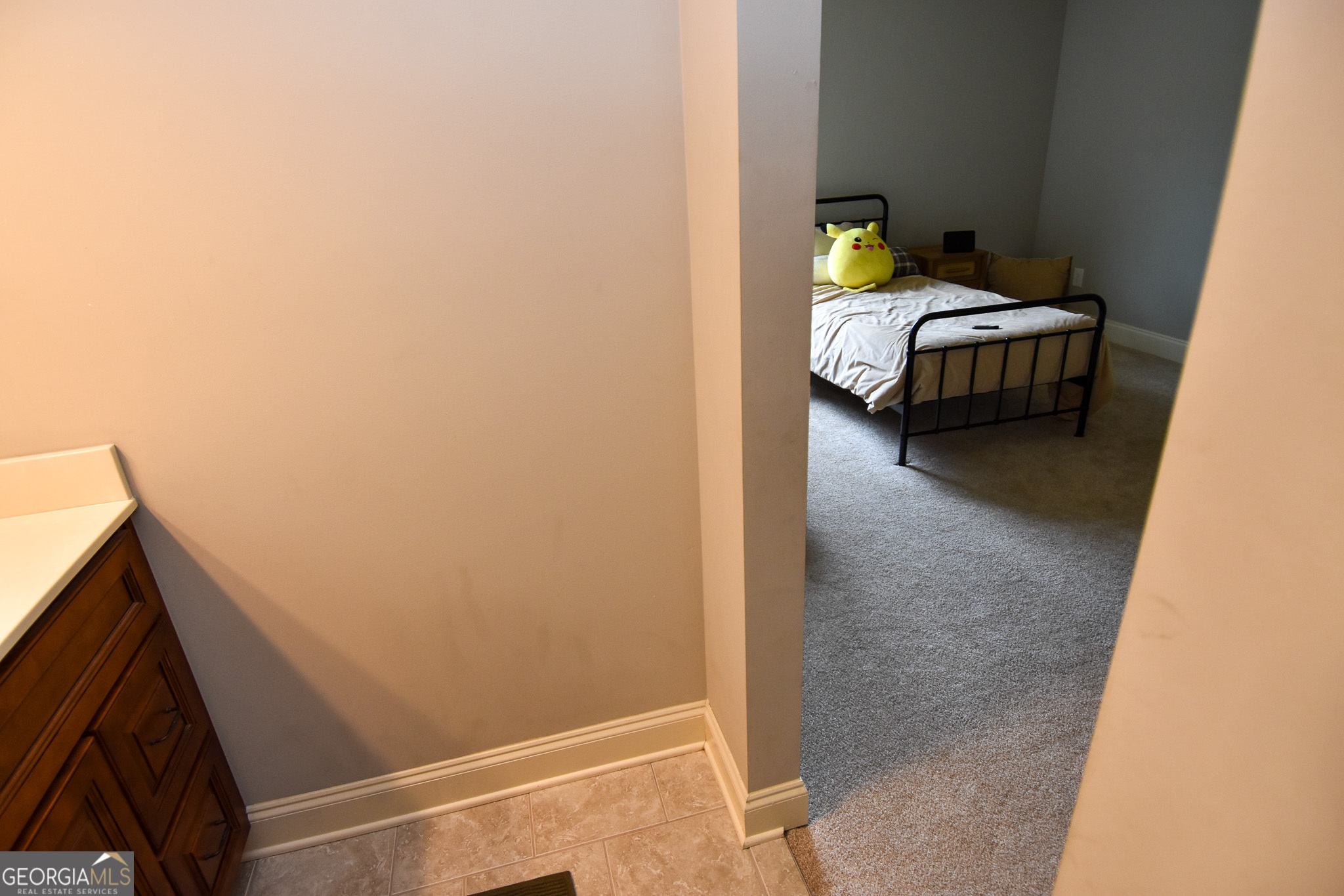 383 Walden Pond Way Property Photo 80
