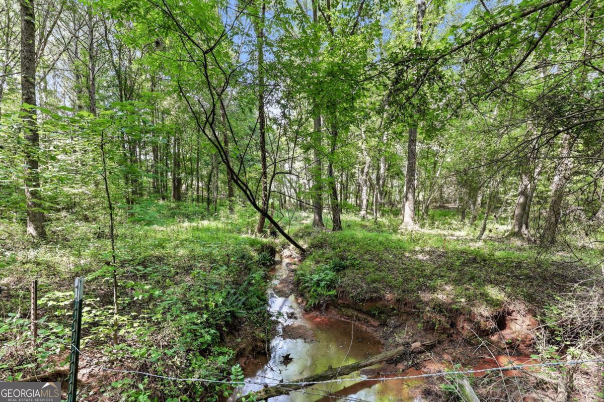 5631 Sandy Creek Road Property Photo 69