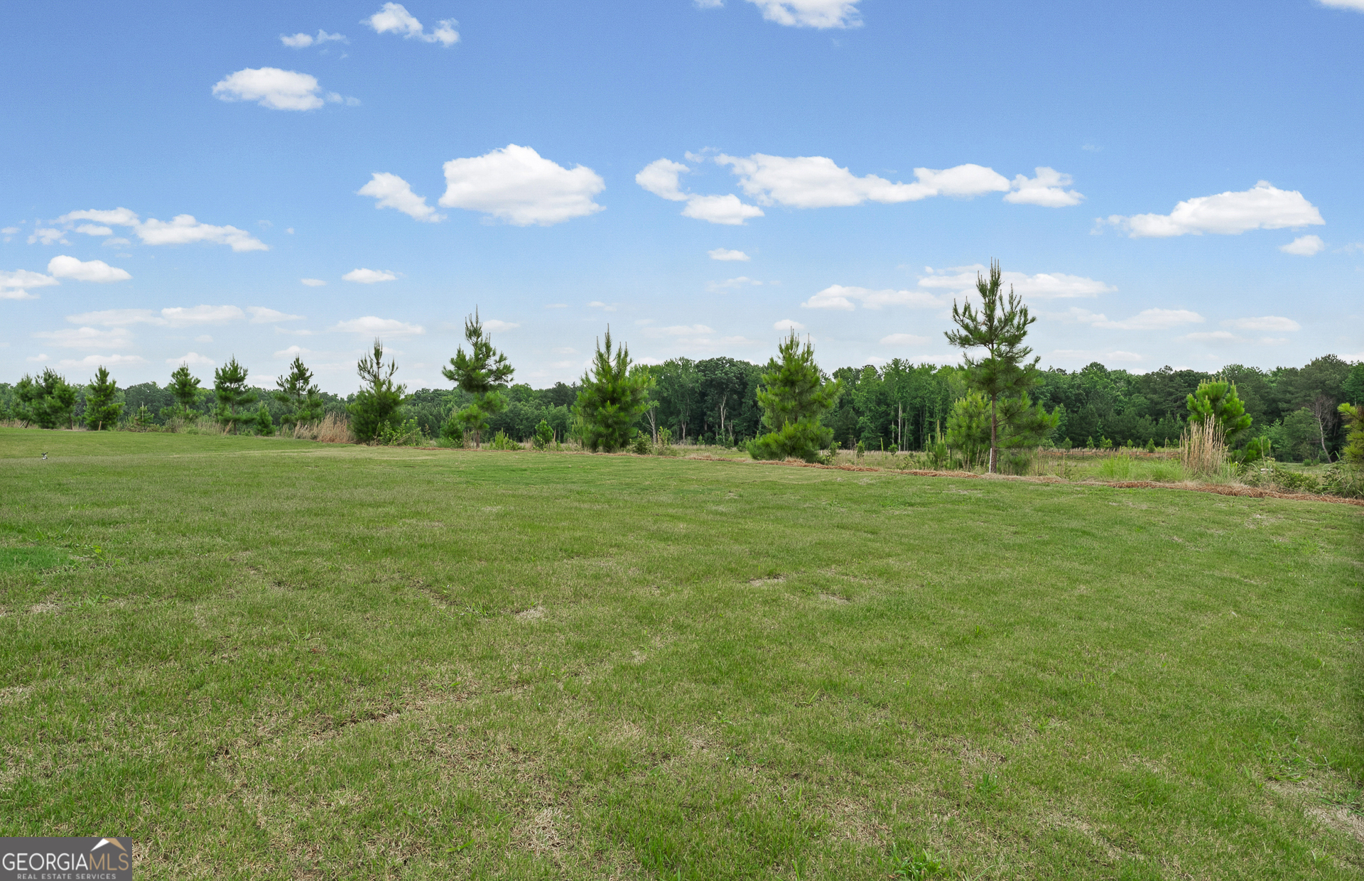 137 Kenney Way Property Photo 34