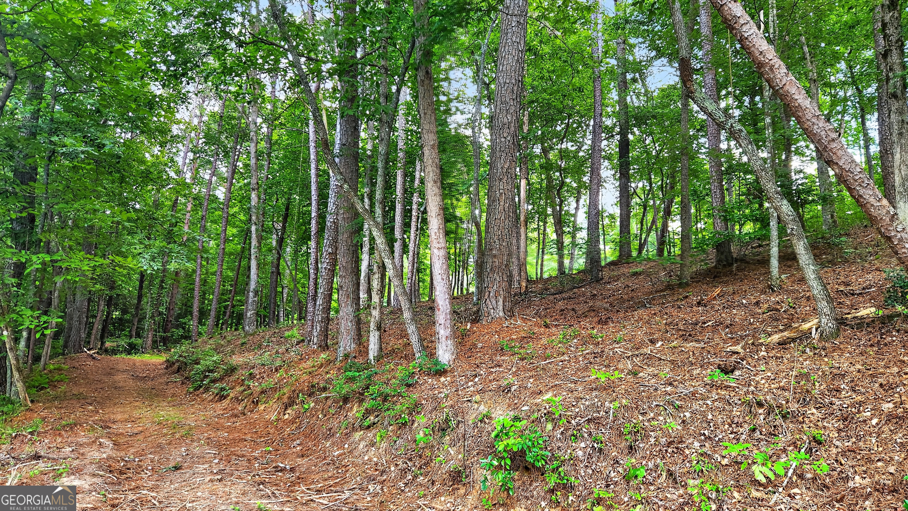 Lt 170 Overlook Way Property Photo 11