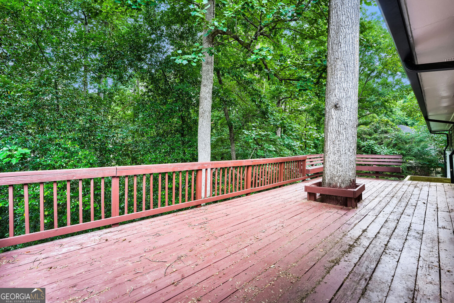 2636 Whiteleigh Court Ne Property Photo 26
