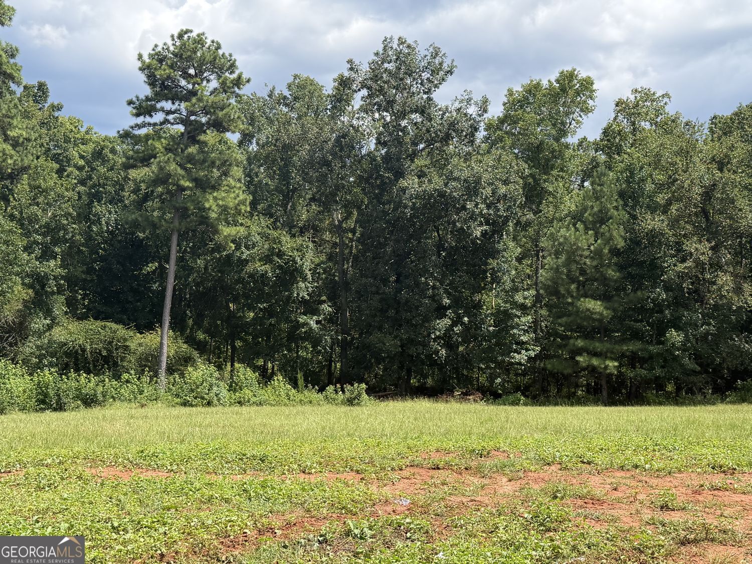 681 Pine Grove Church Road Property Photo 5