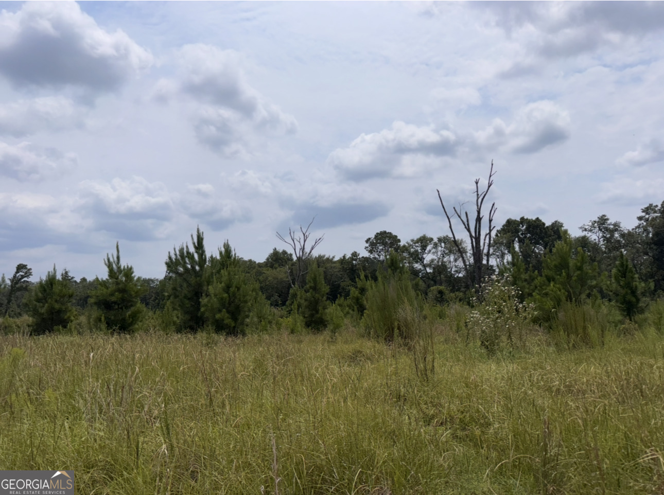 0 Rose Hollow Road Property Photo 1