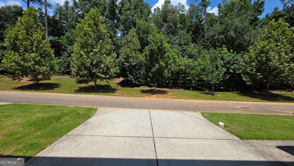 2339 Village Grove Drive Property Photo 39