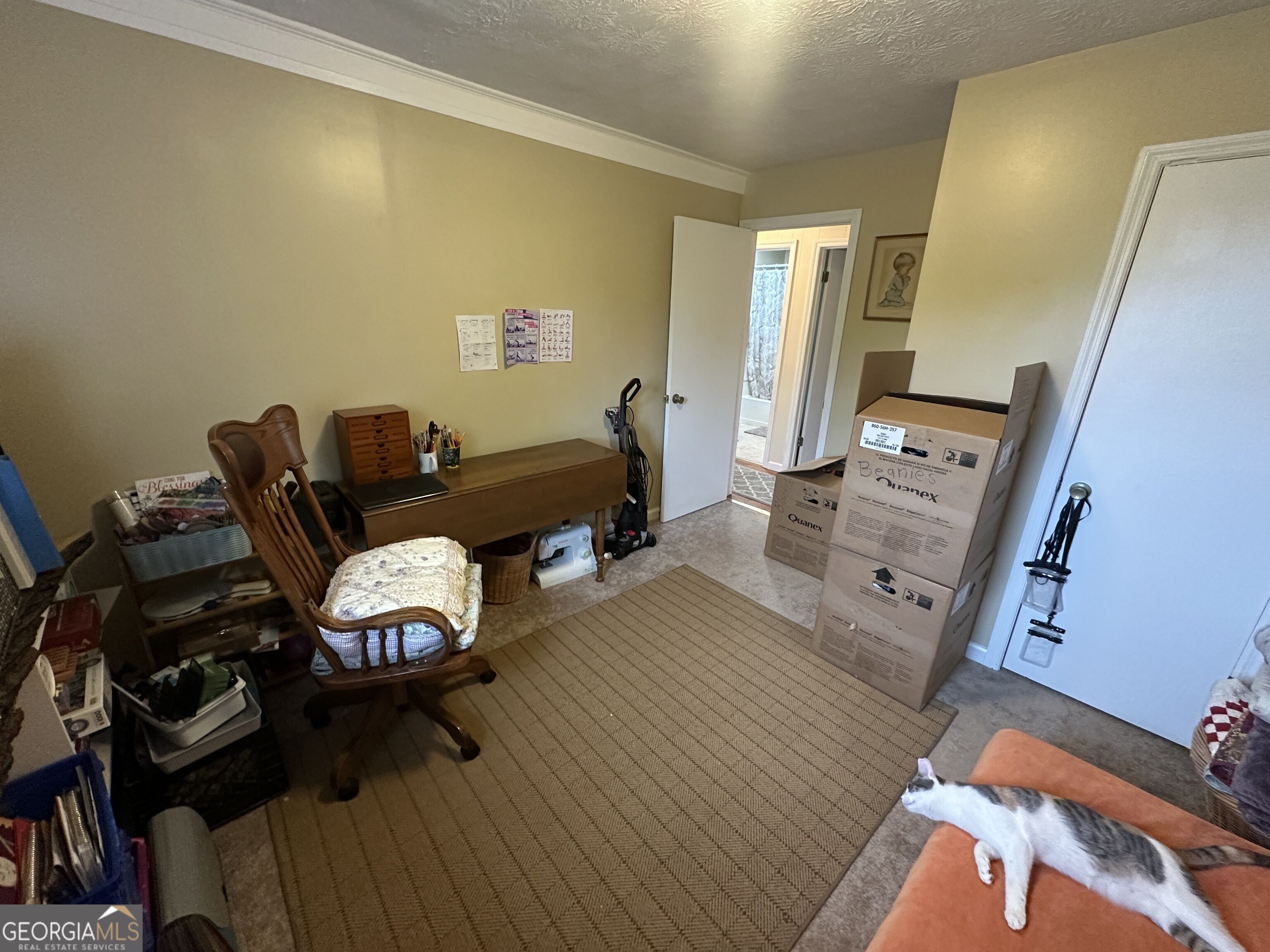 183 Garrison Road Property Photo 18