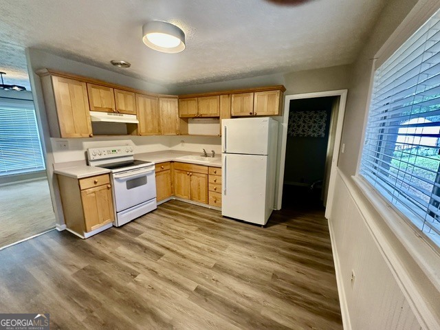 10178 Top Tree Court Property Photo 4