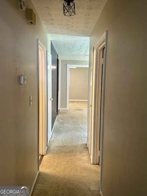 10178 Top Tree Court Property Photo 14