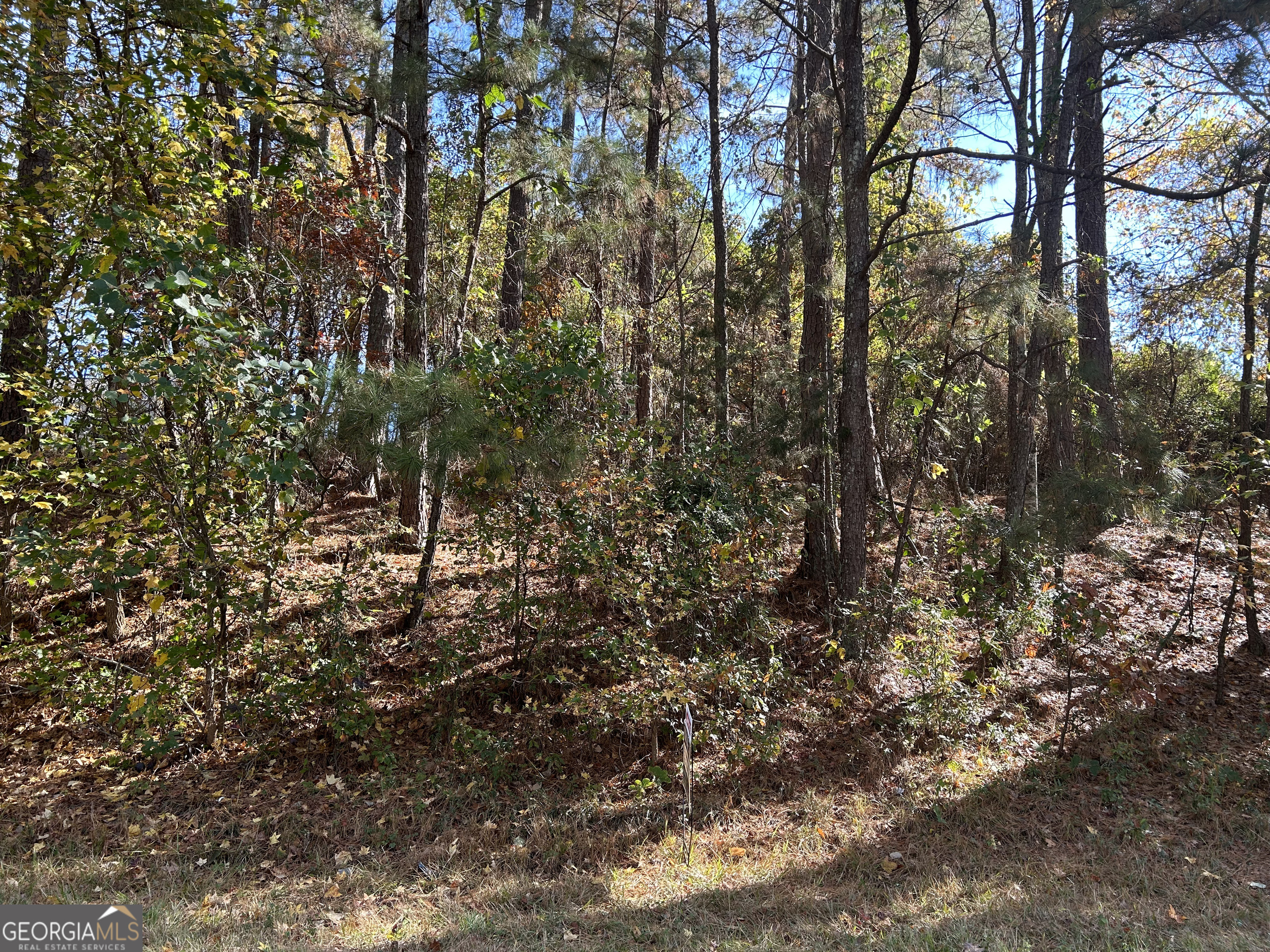 2090 Lee Peters Road Property Photo 1