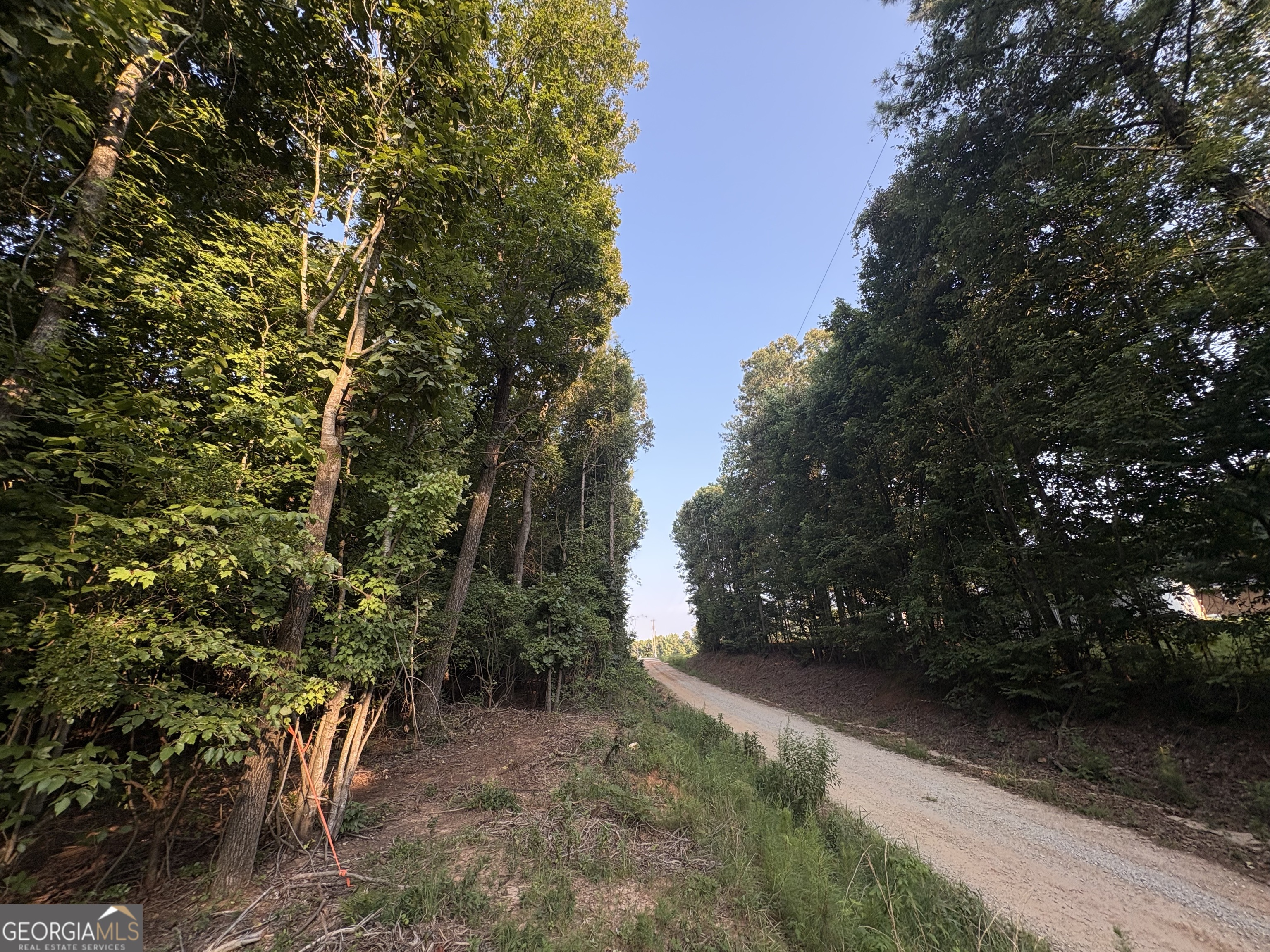 6 Bunch Road Property Photo 7