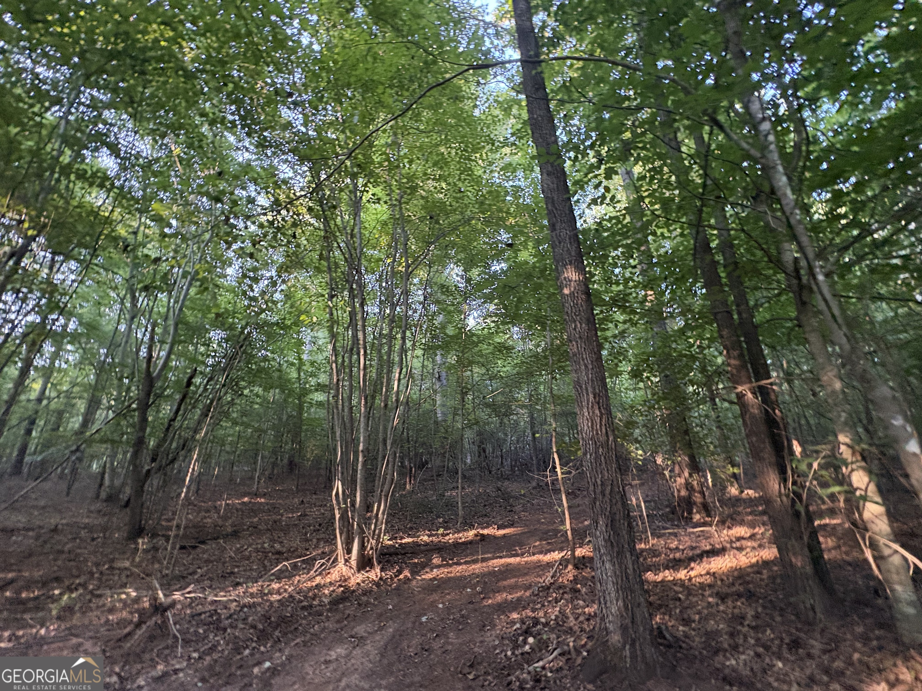 6 Bunch Road Property Photo 9