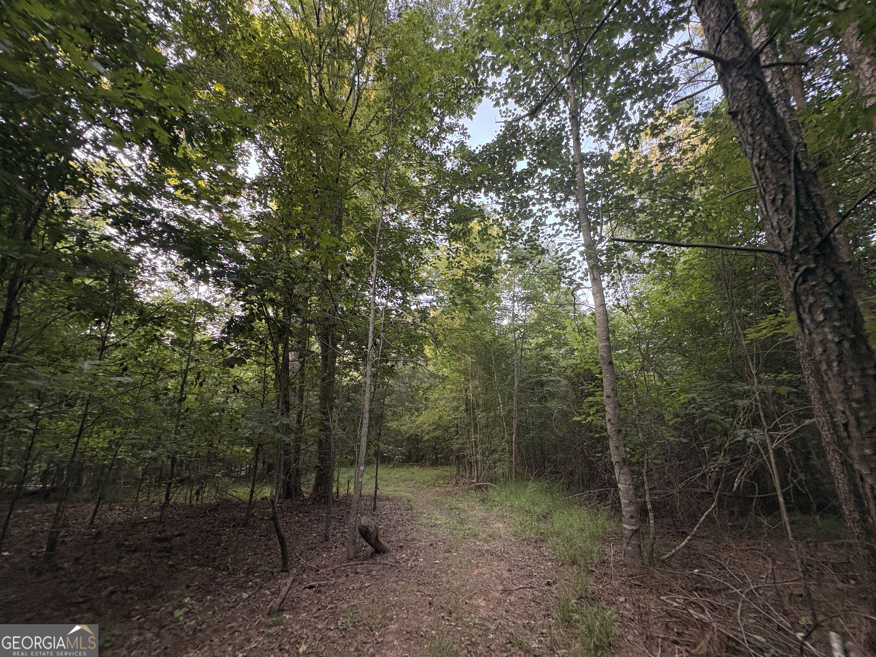 6 Bunch Road Property Photo 16
