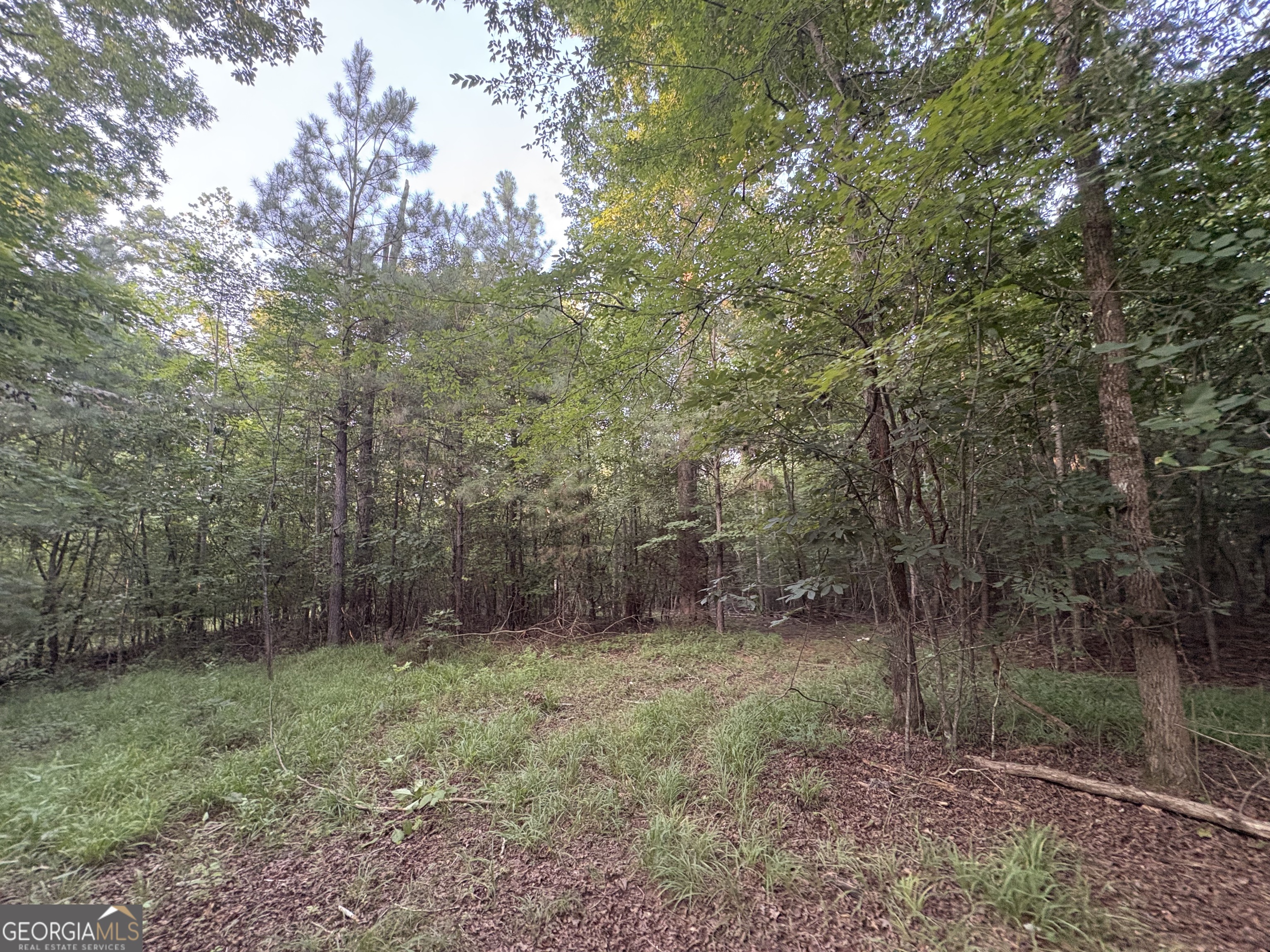 6 Bunch Road Property Photo 17