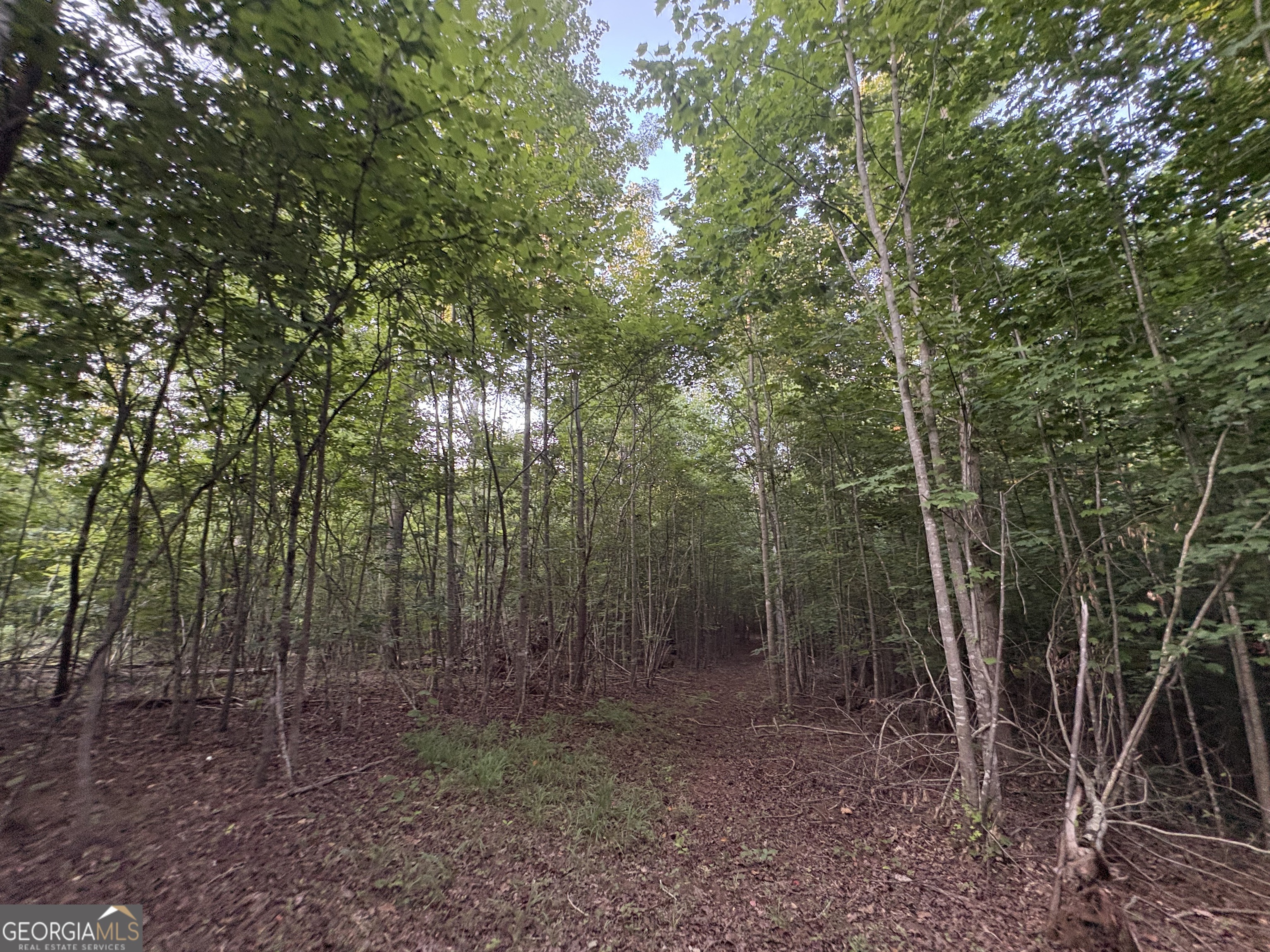 6 Bunch Road Property Photo 18