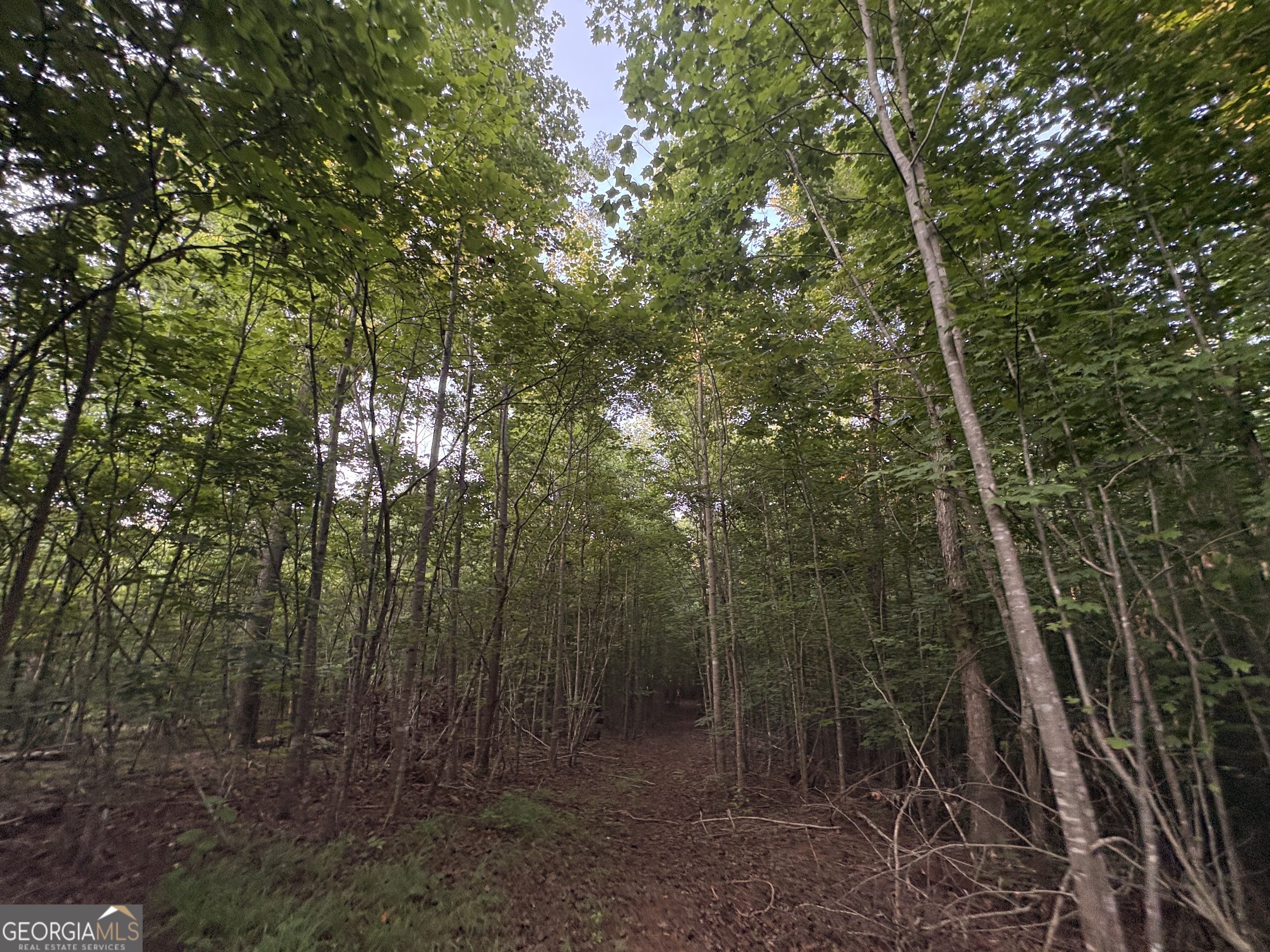 6 Bunch Road Property Photo 19