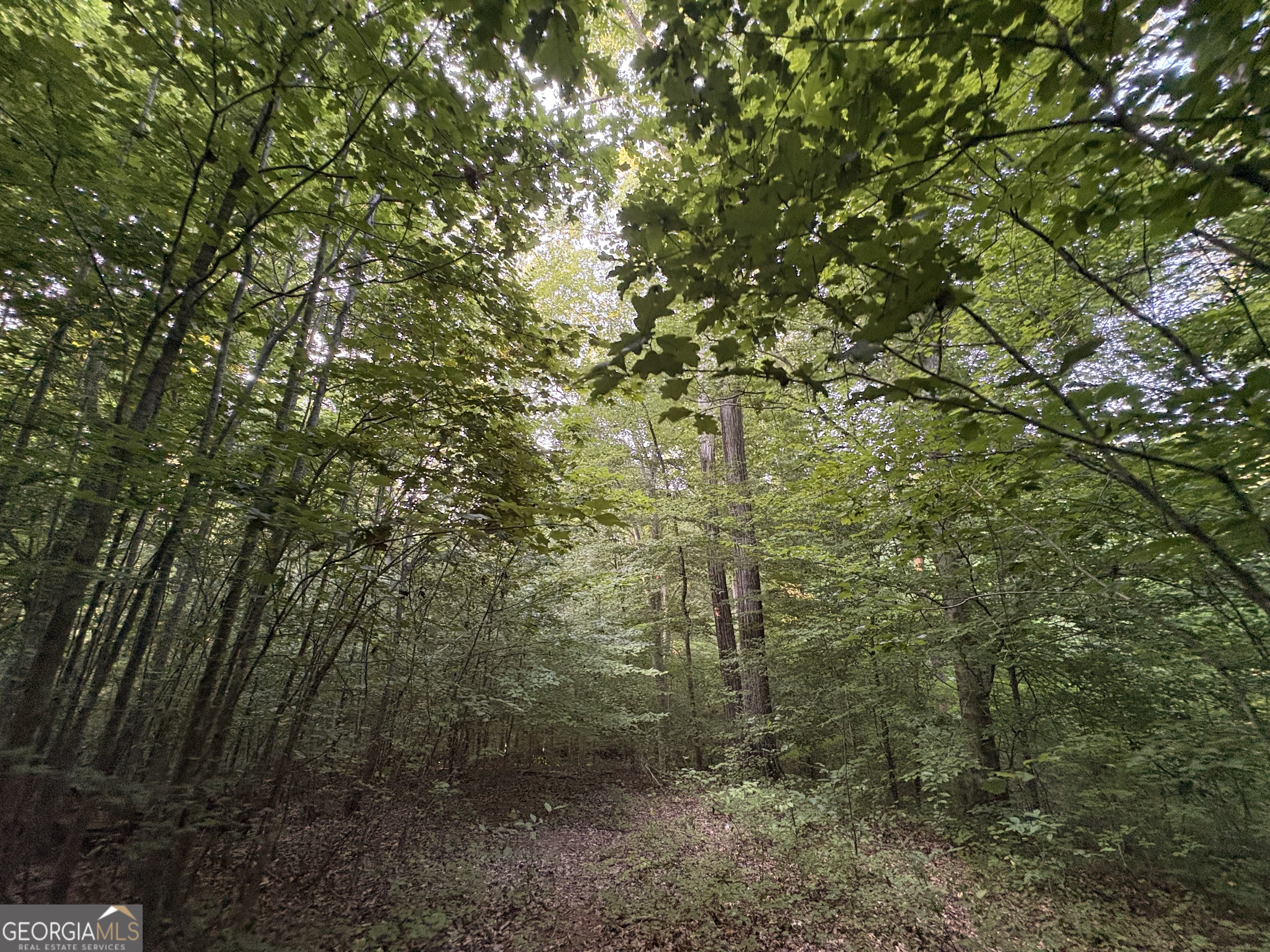 6 Bunch Road Property Photo 23