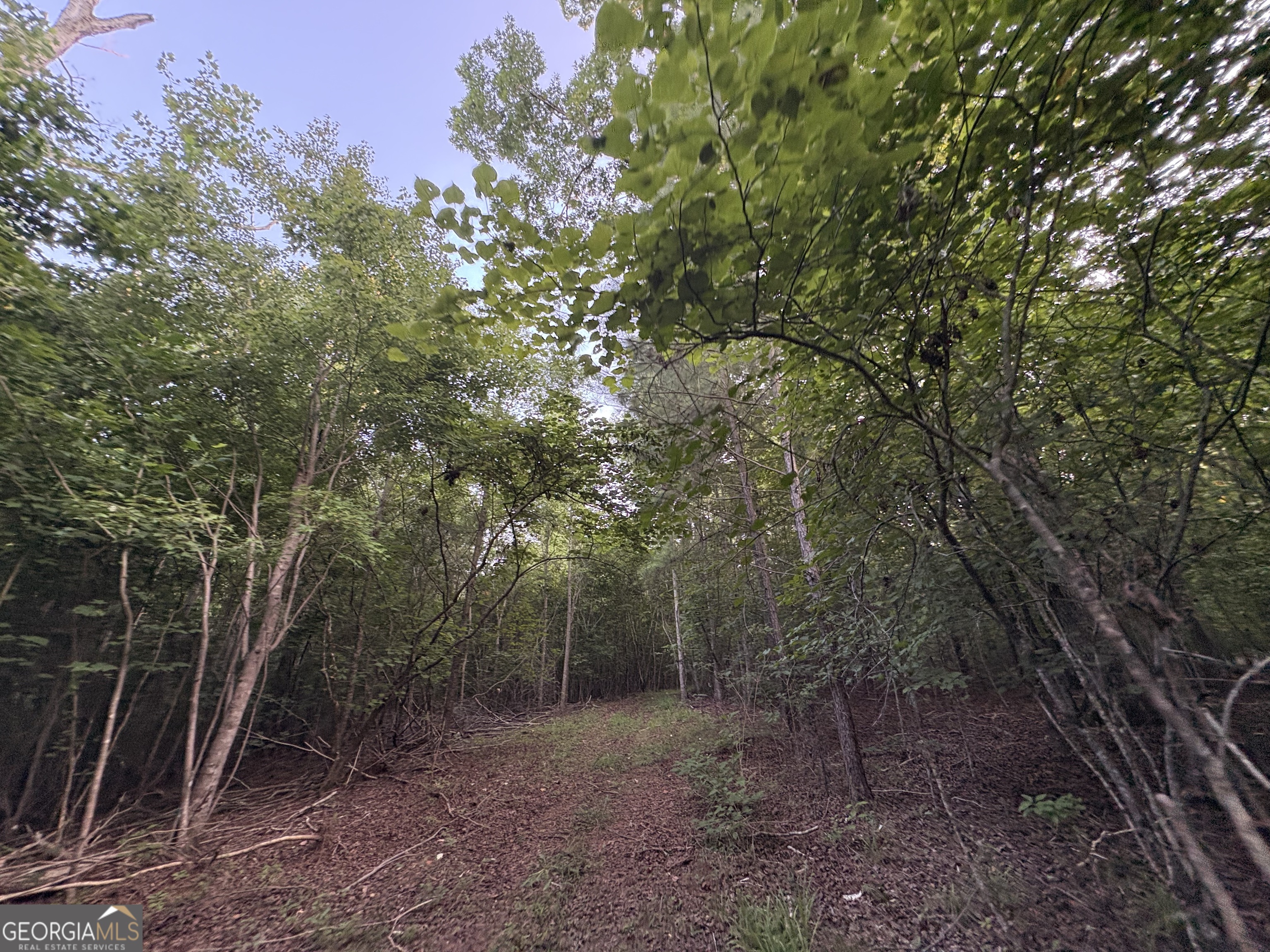 6 Bunch Road Property Photo 25
