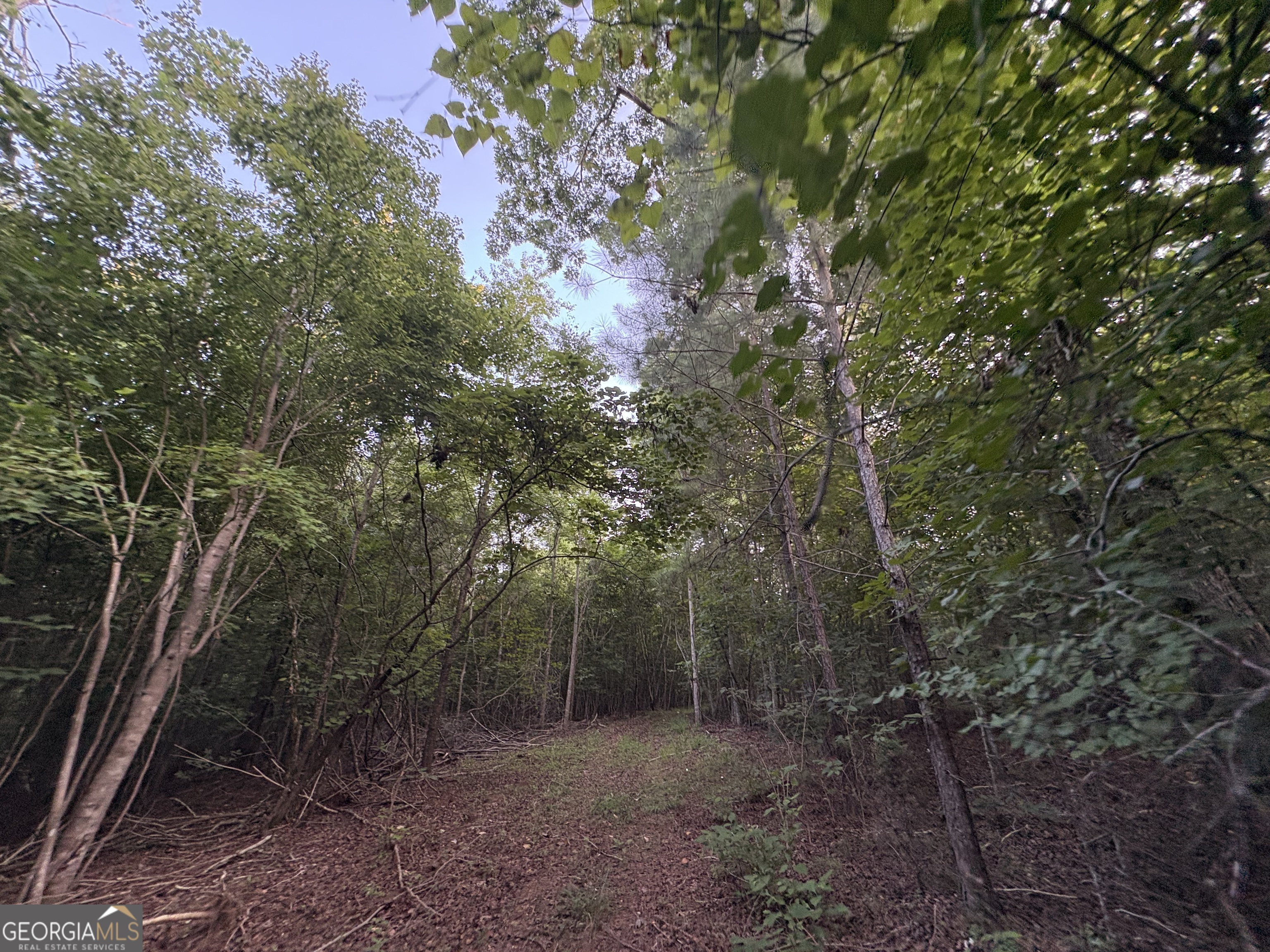 6 Bunch Road Property Photo 26