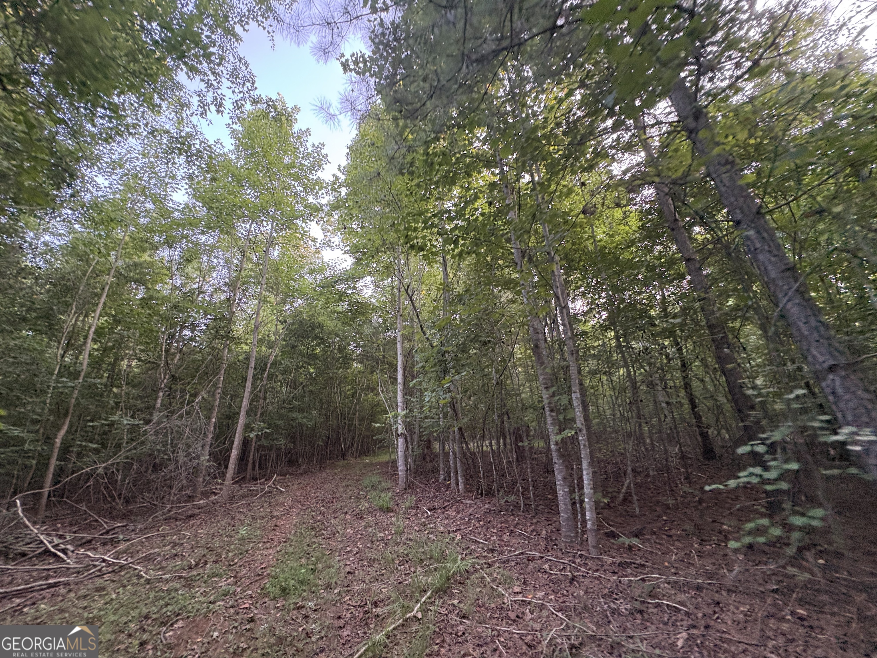 6 Bunch Road Property Photo 27