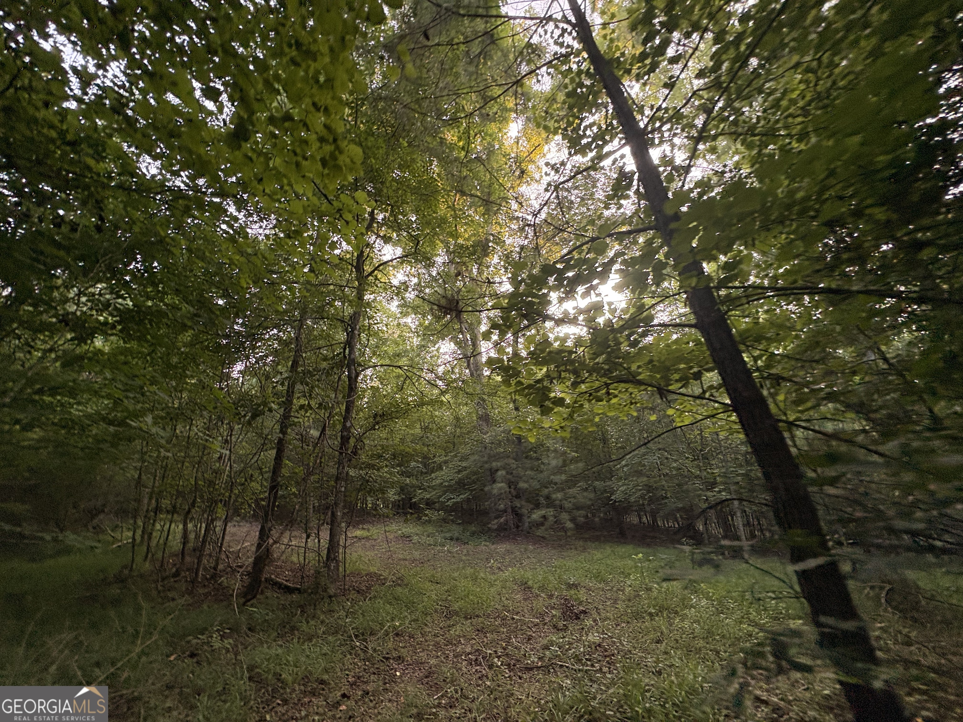 6 Bunch Road Property Photo 28