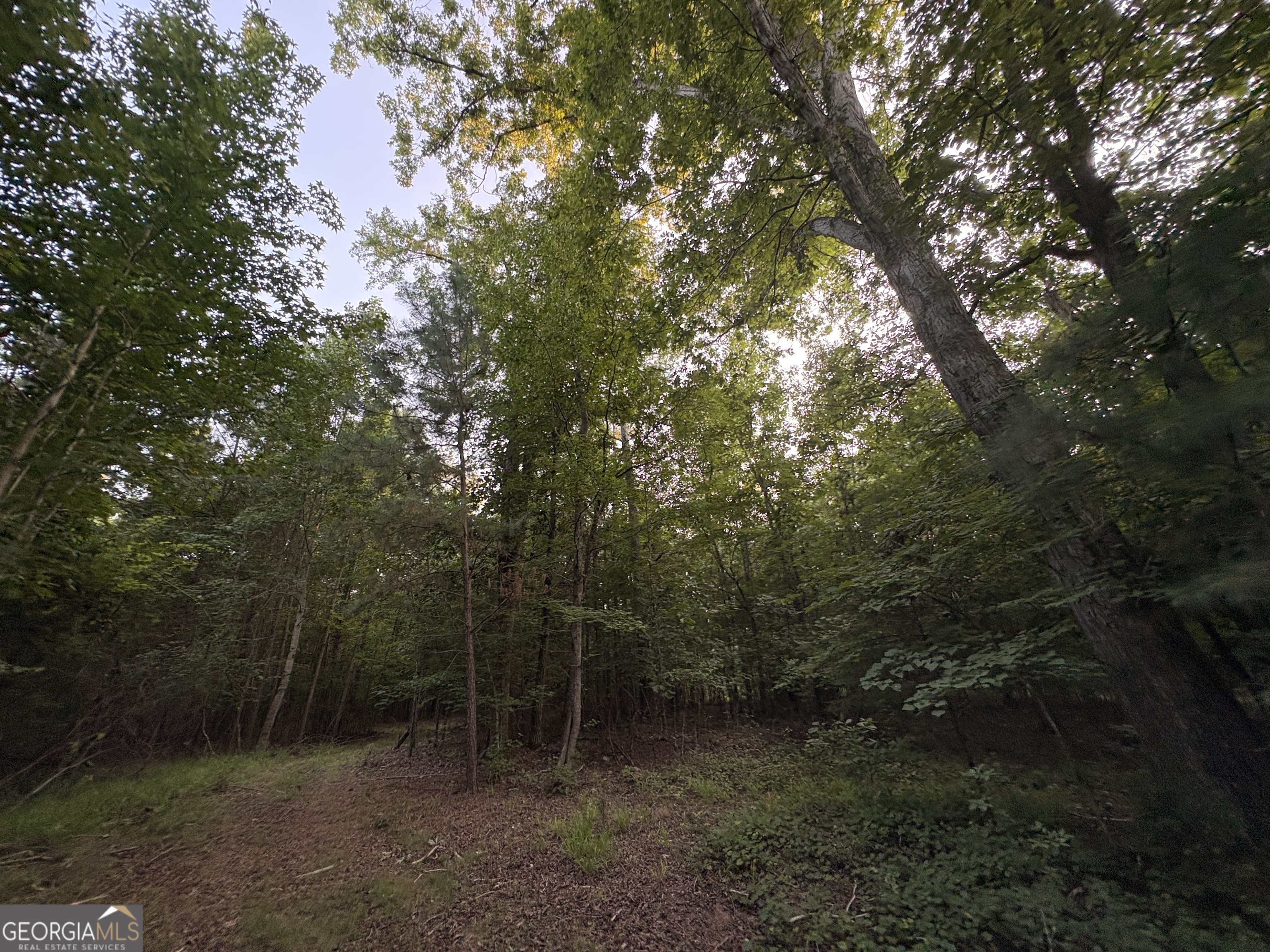 6 Bunch Road Property Photo 29
