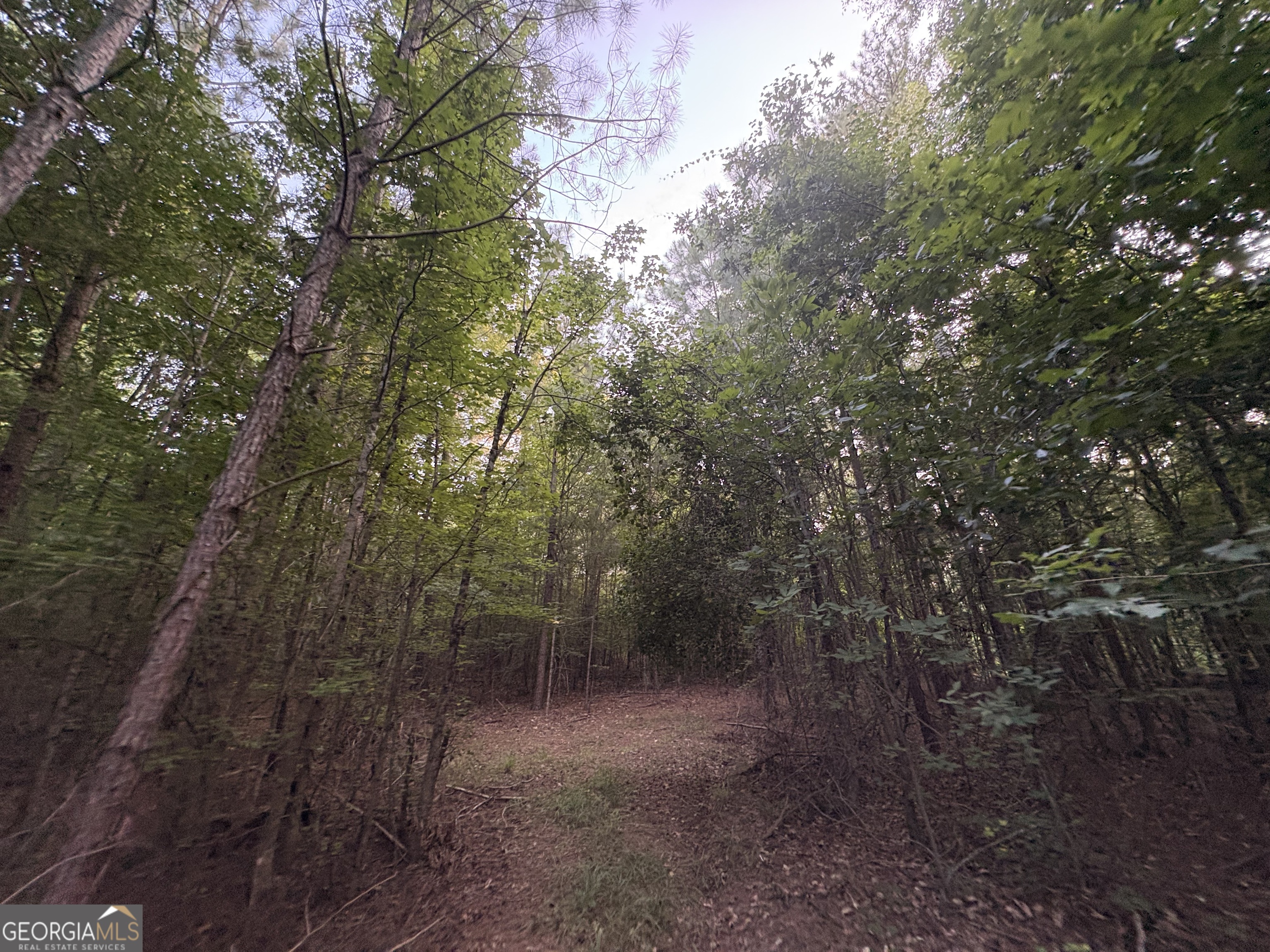 6 Bunch Road Property Photo 31