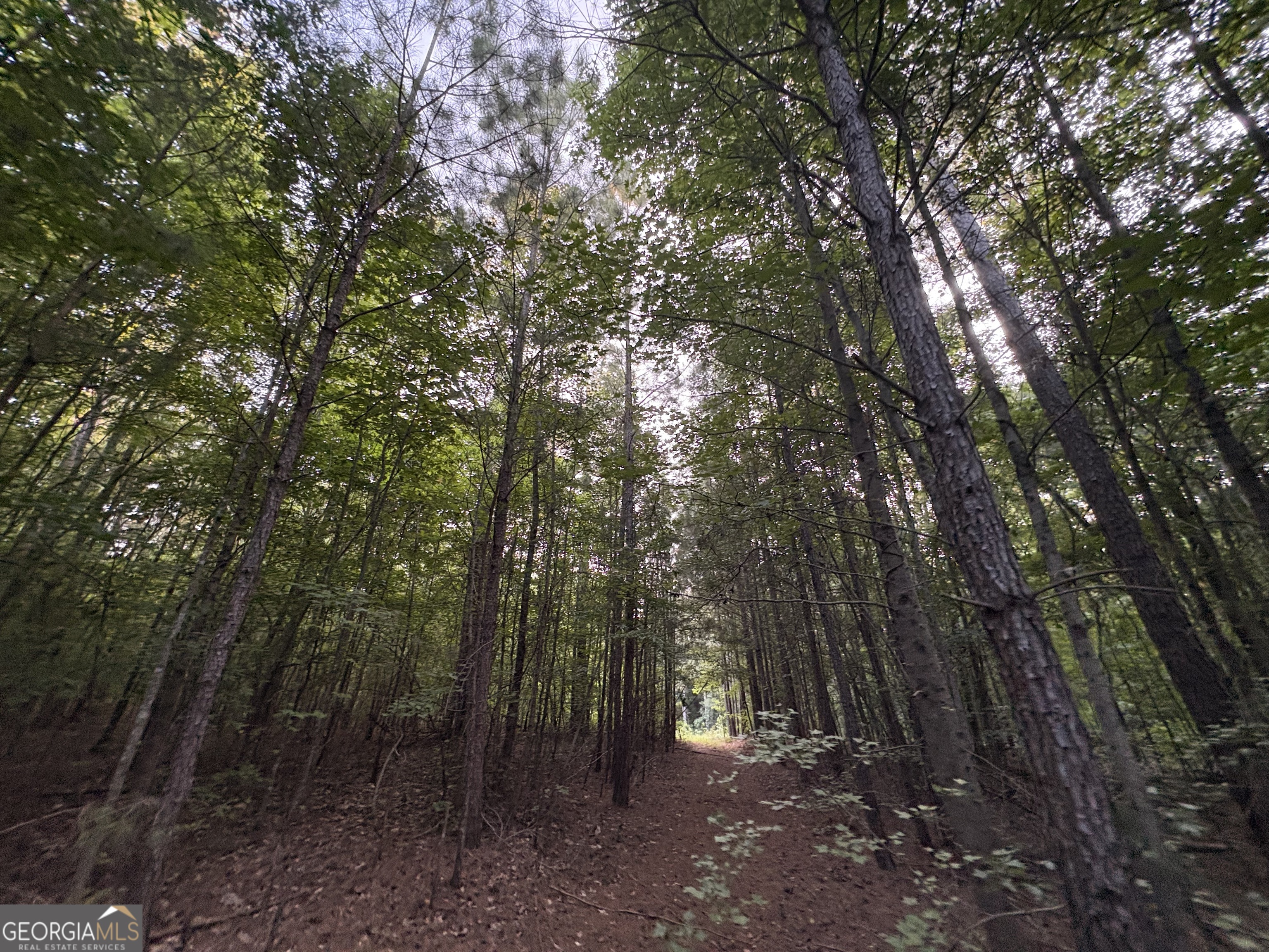 6 Bunch Road Property Photo 32