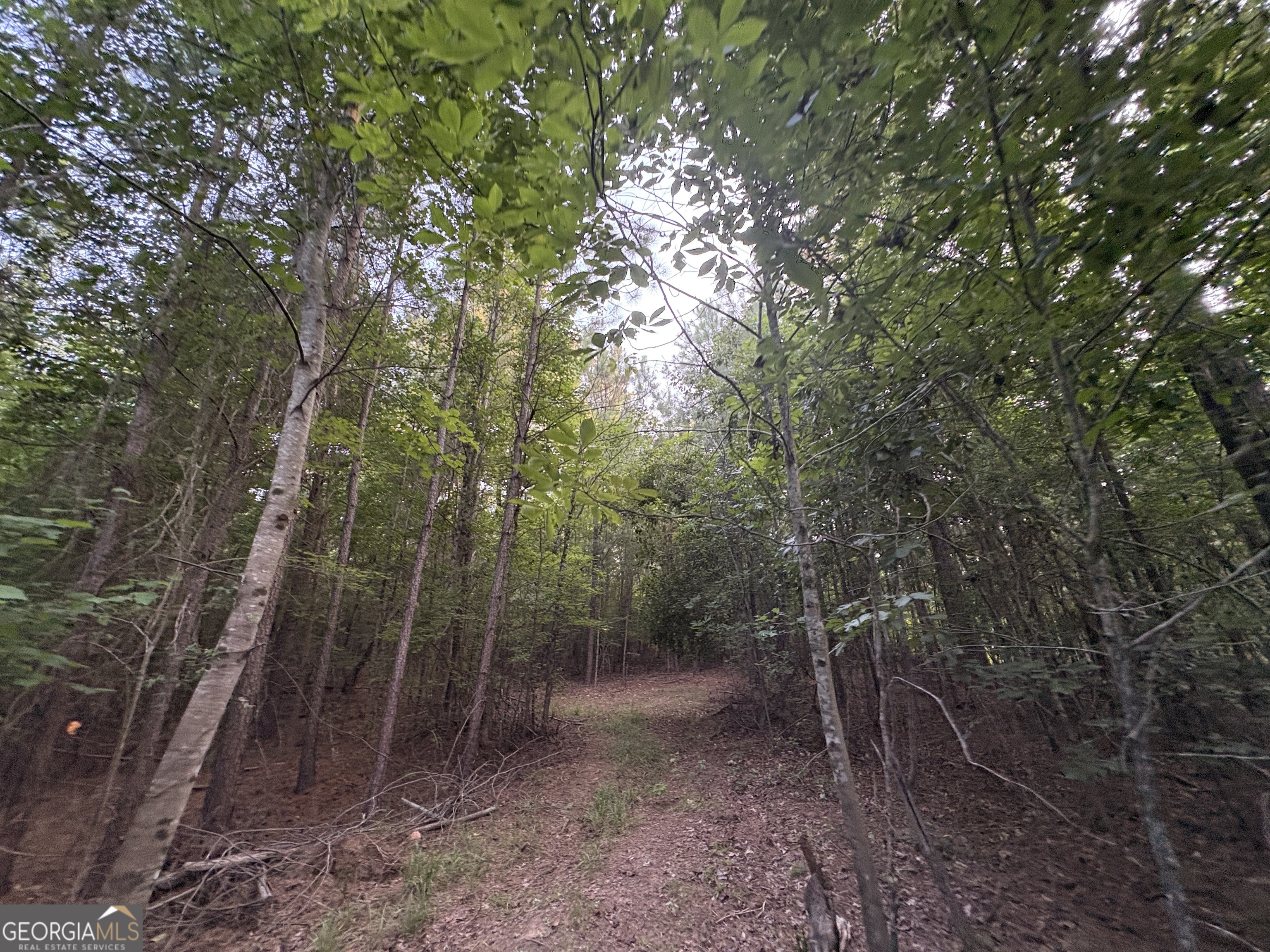 6 Bunch Road Property Photo 32