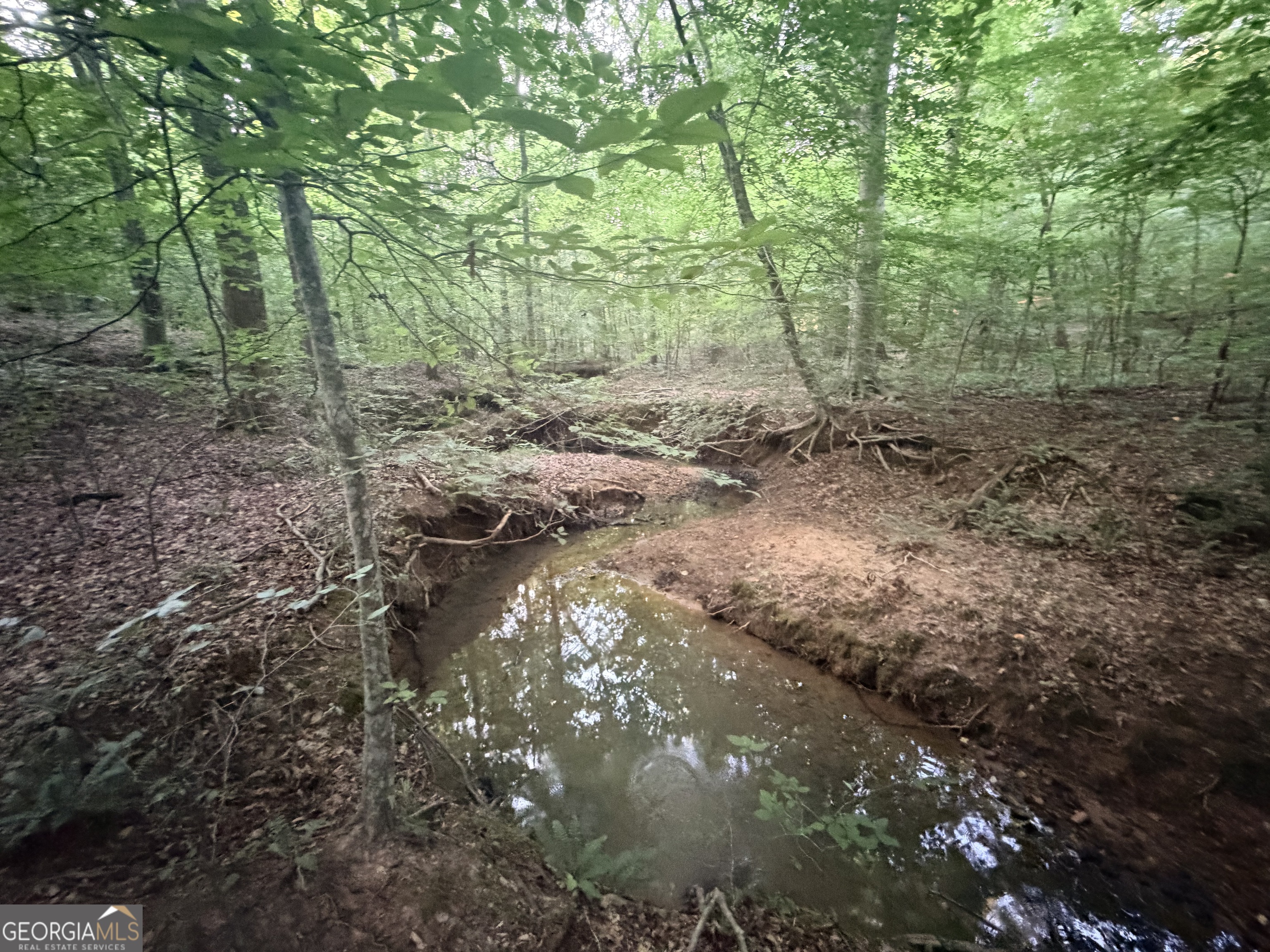 6 Bunch Road Property Photo 38