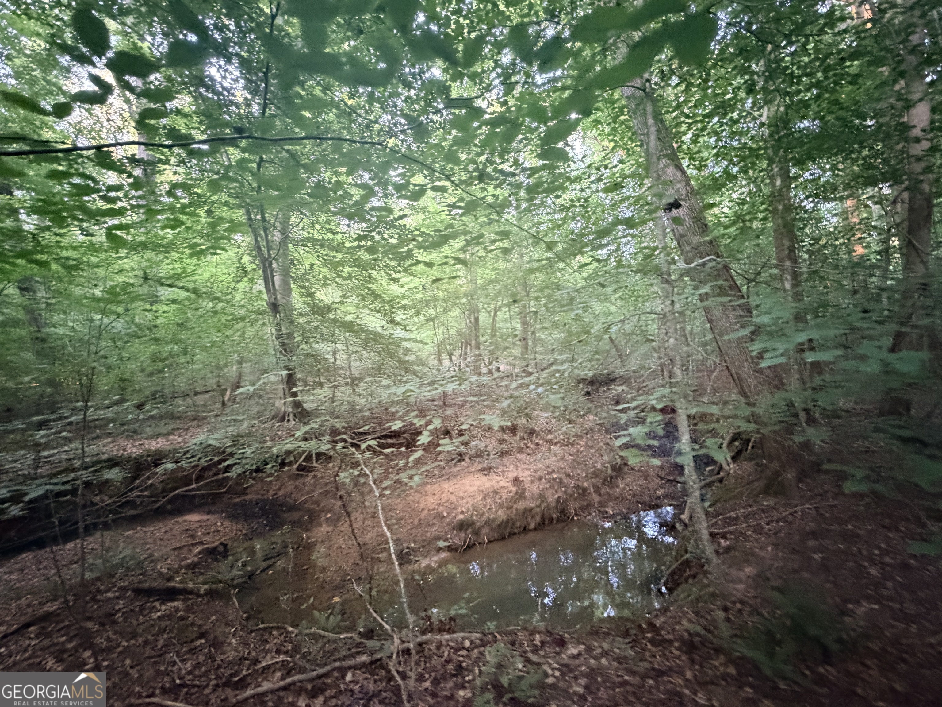 6 Bunch Road Property Photo 39