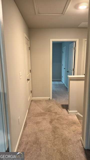3604 Wartrace Drive Property Photo 22